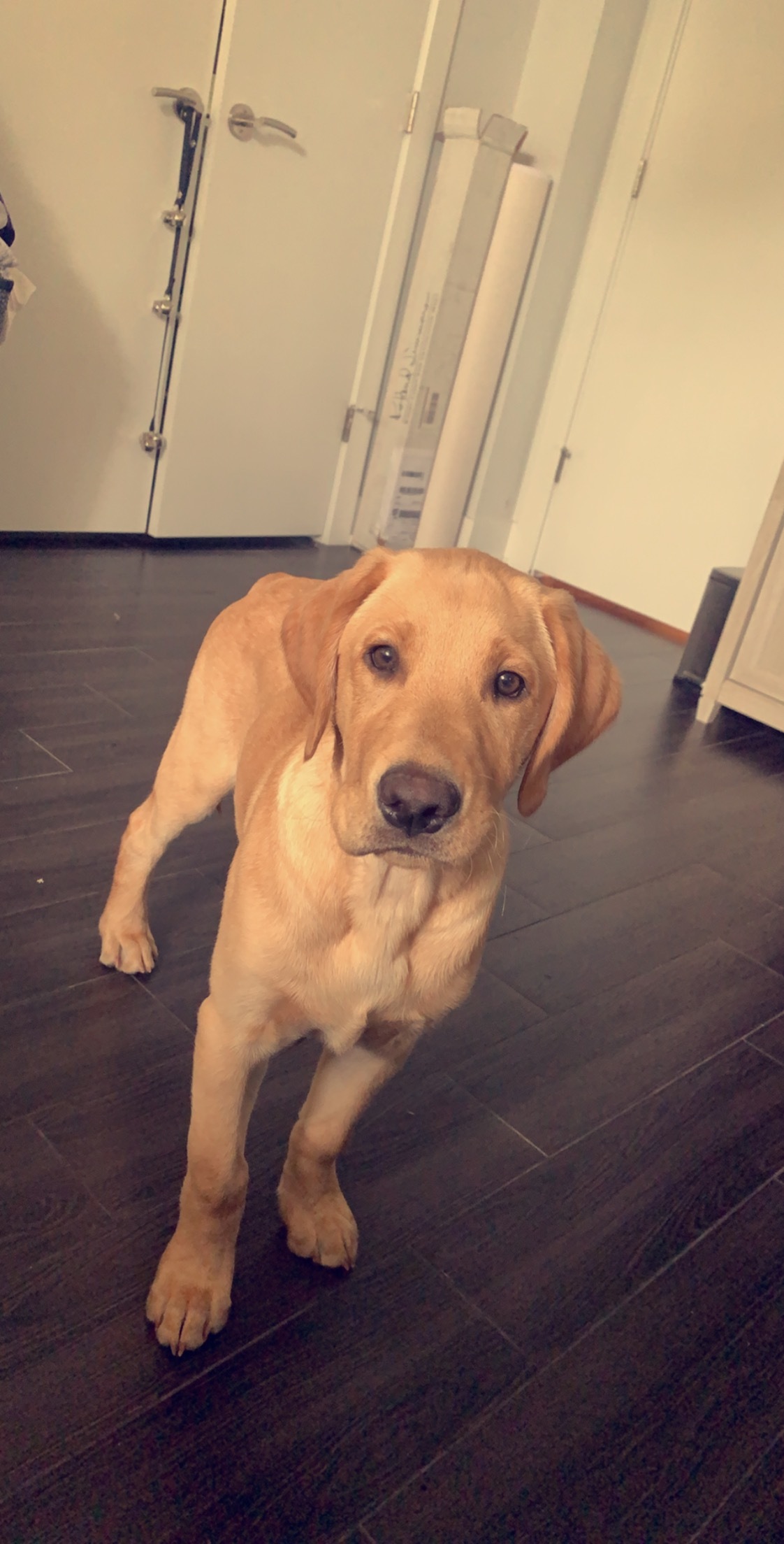 Oliver Nelson OnlyFans