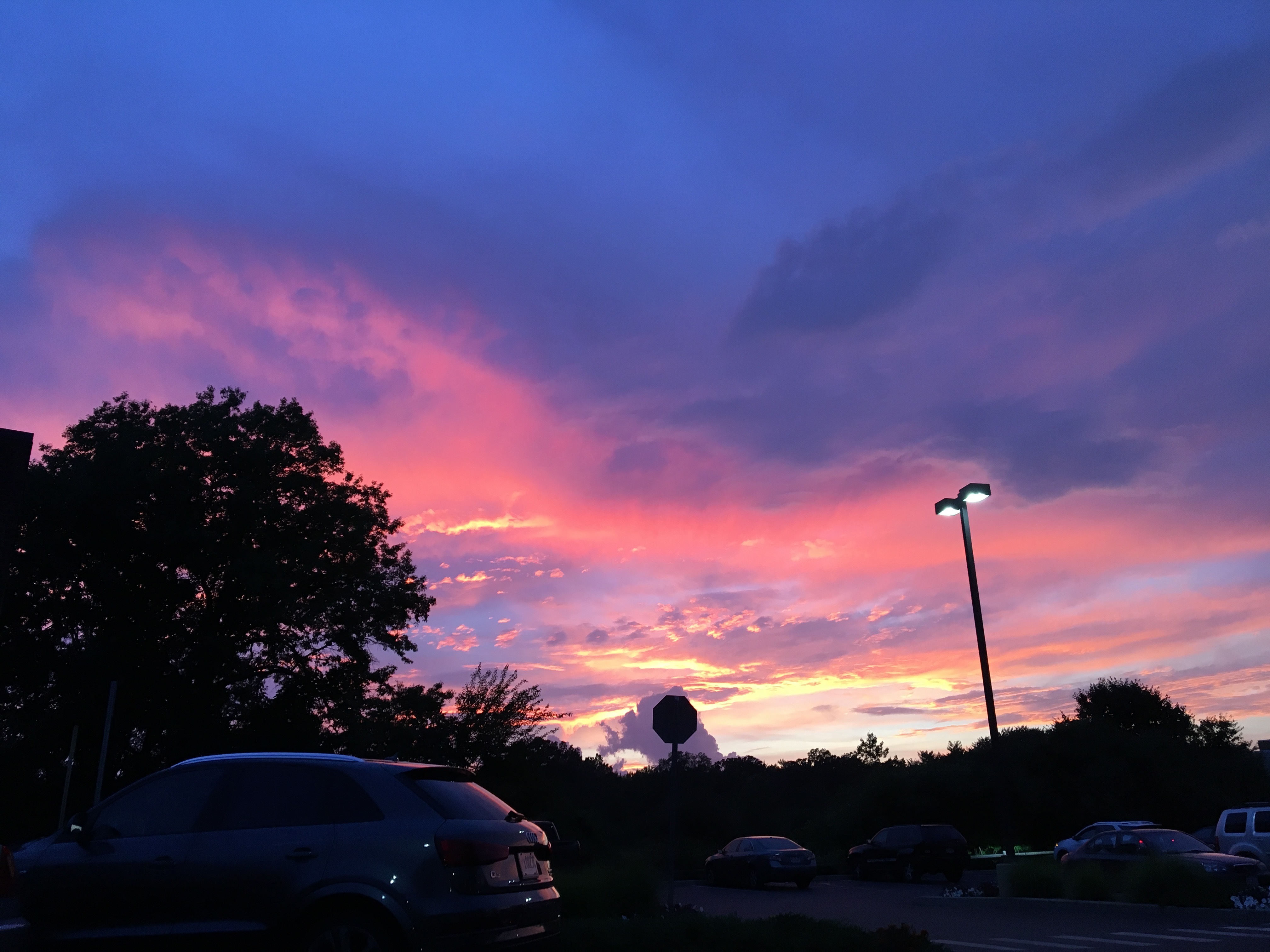 Olive Sun OnlyFans header