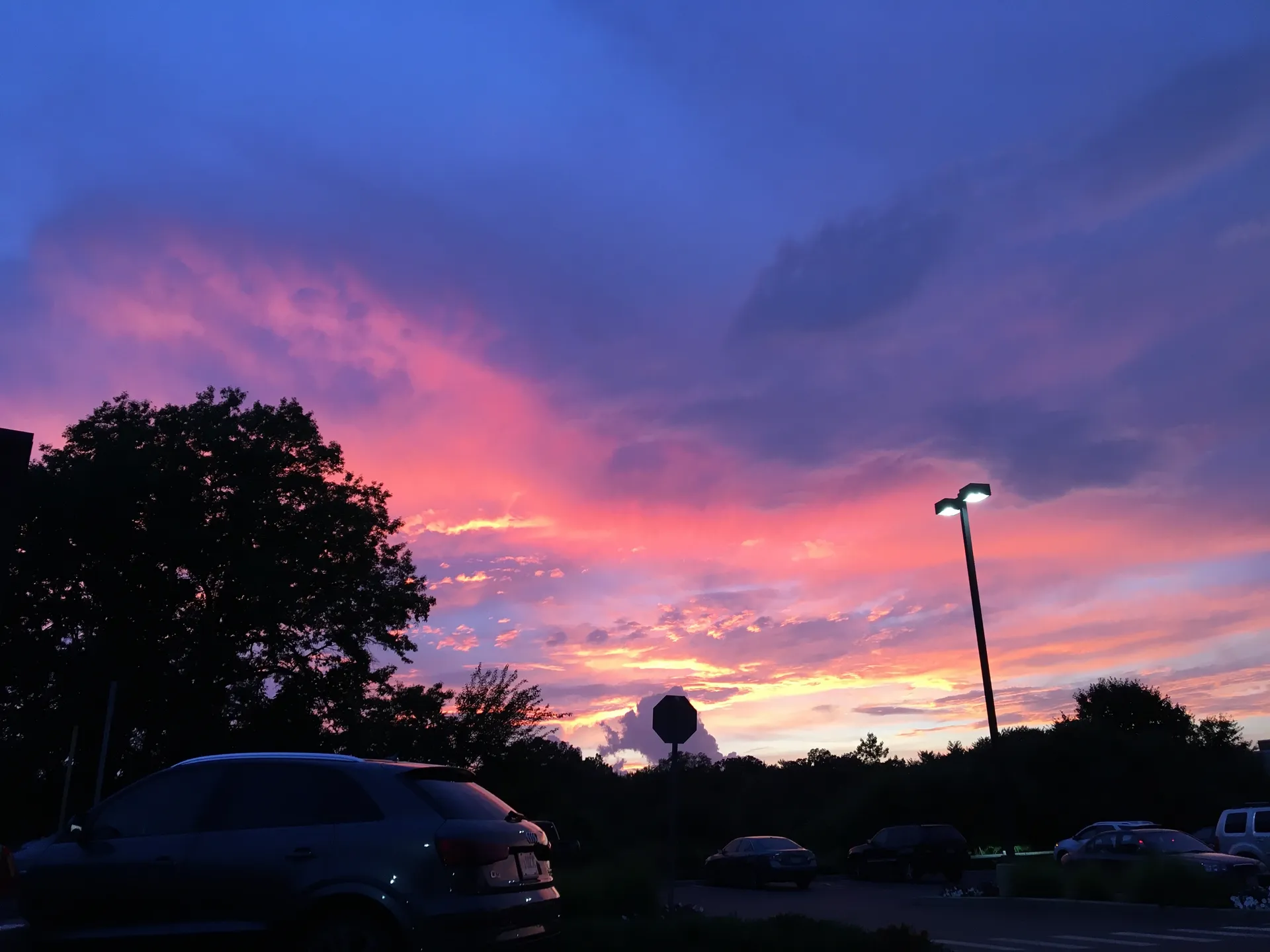 Olive Sun OnlyFans header