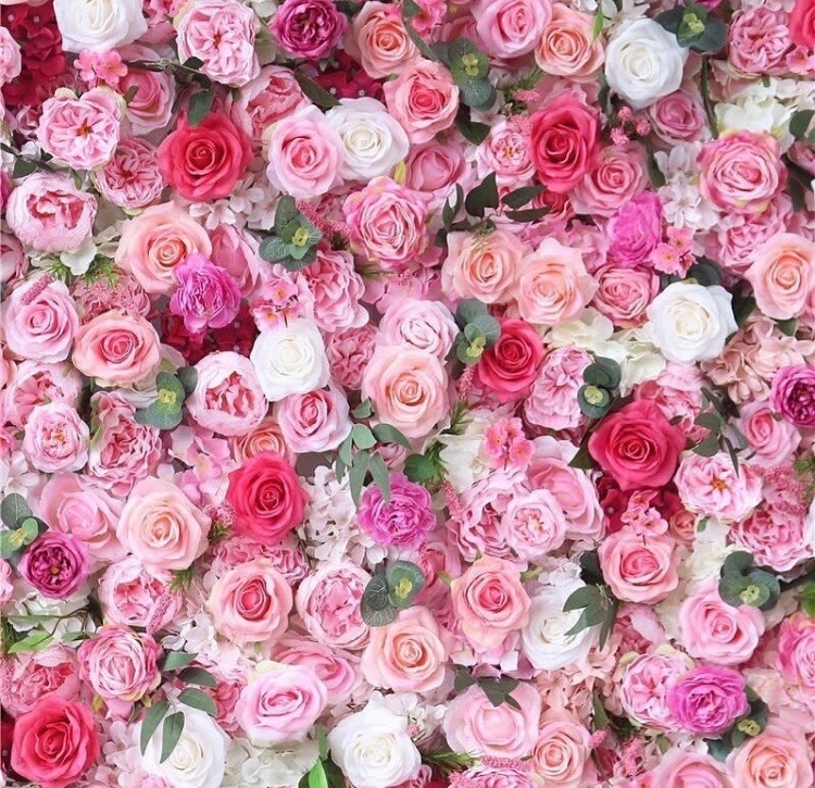 Your Girl Liv 🌸 OnlyFans header