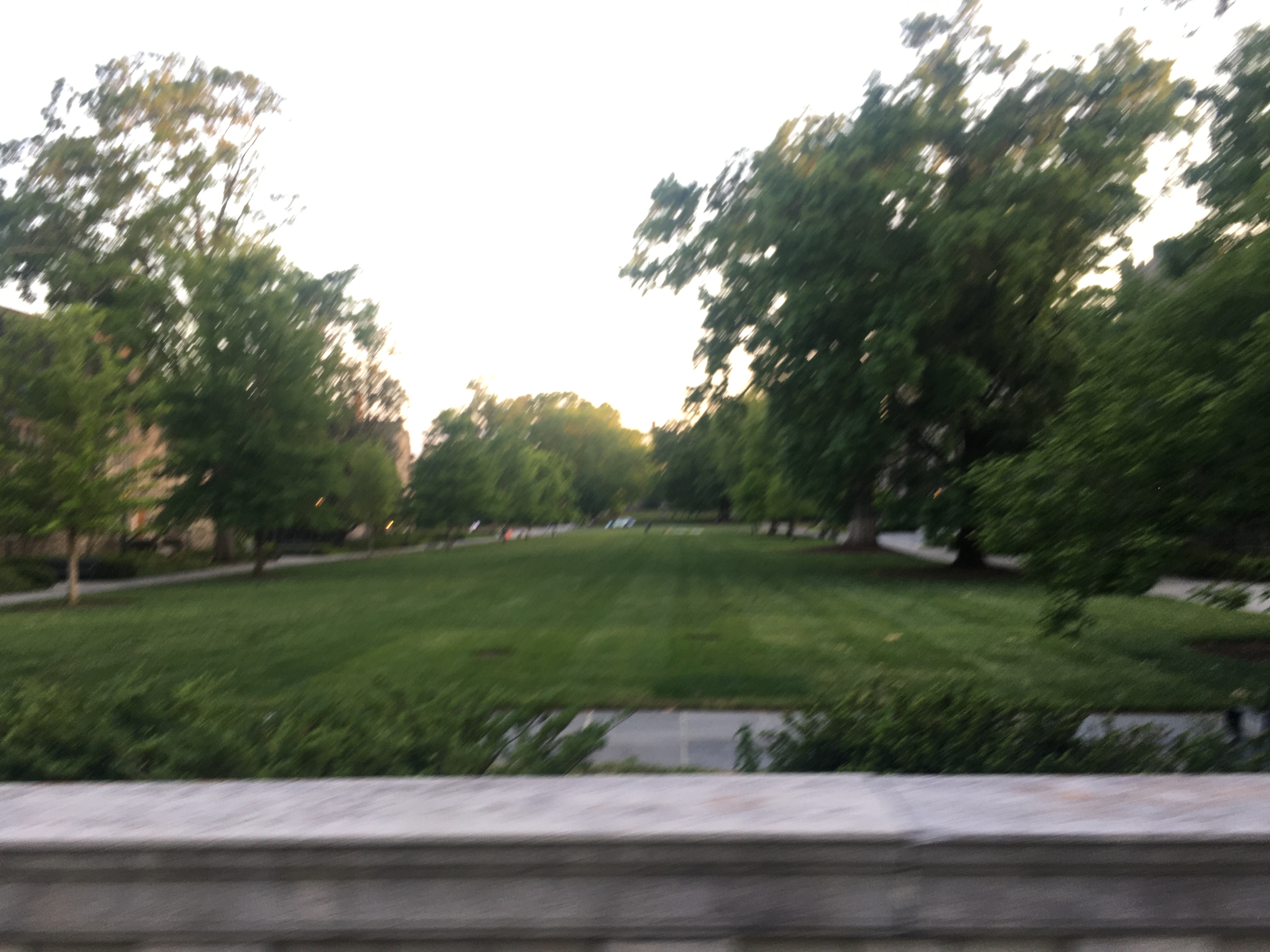 Olivia Laa OnlyFans header