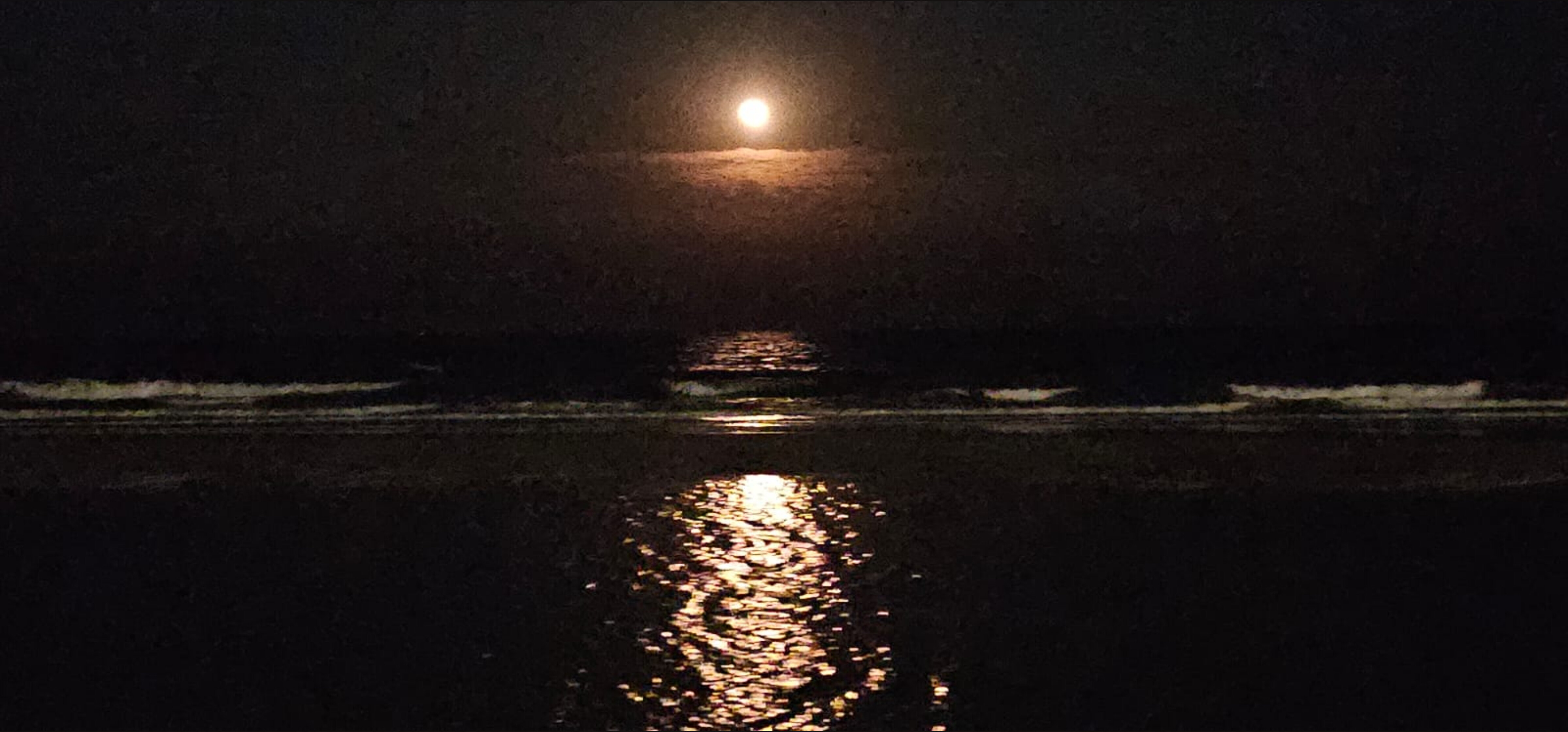 Olivia OnlyFans header