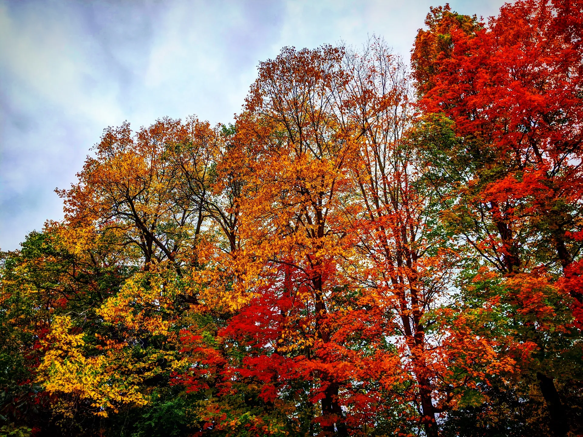 BBW princess 😌✨💕 OnlyFans header