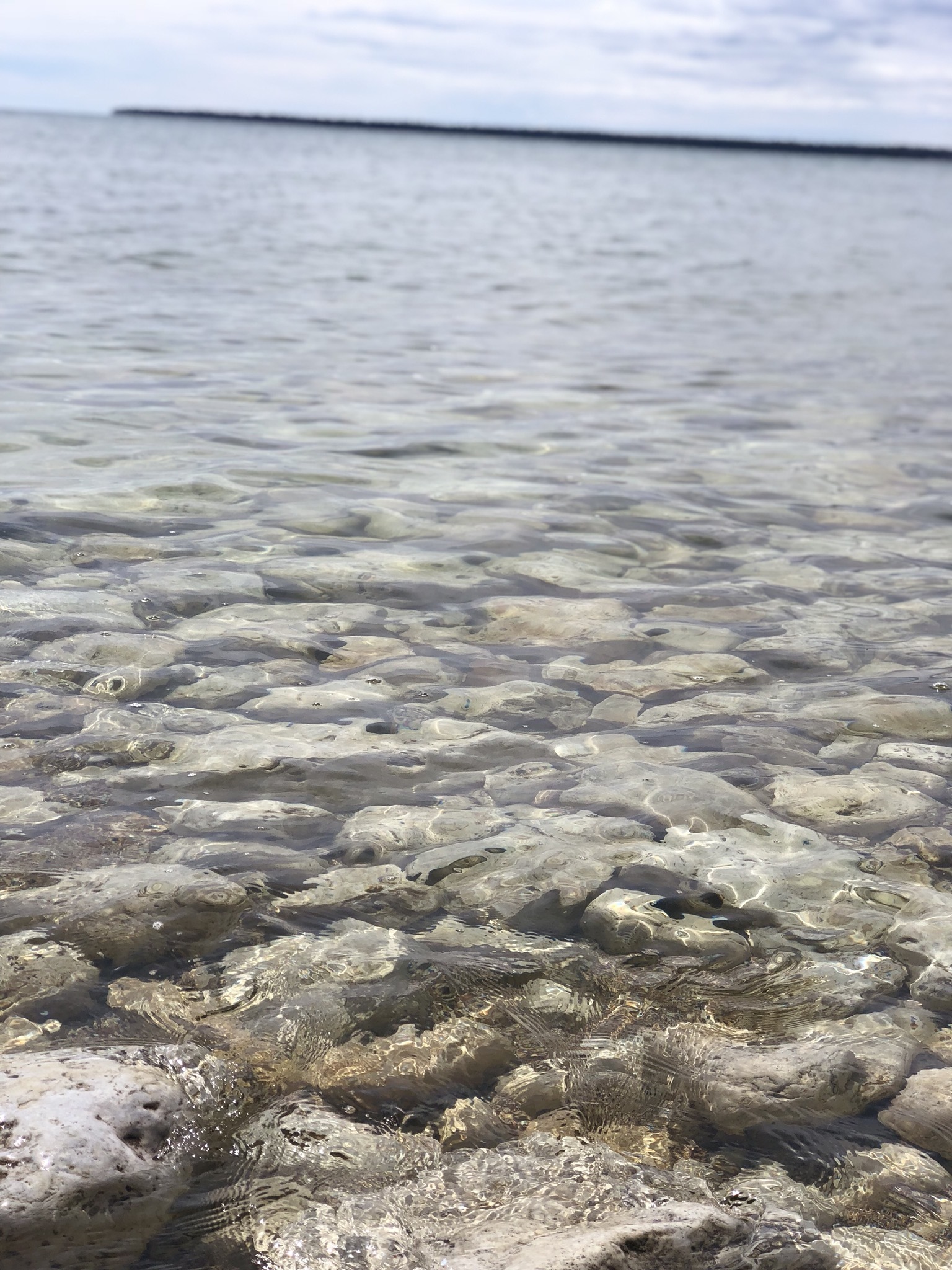 Olivia OnlyFans header