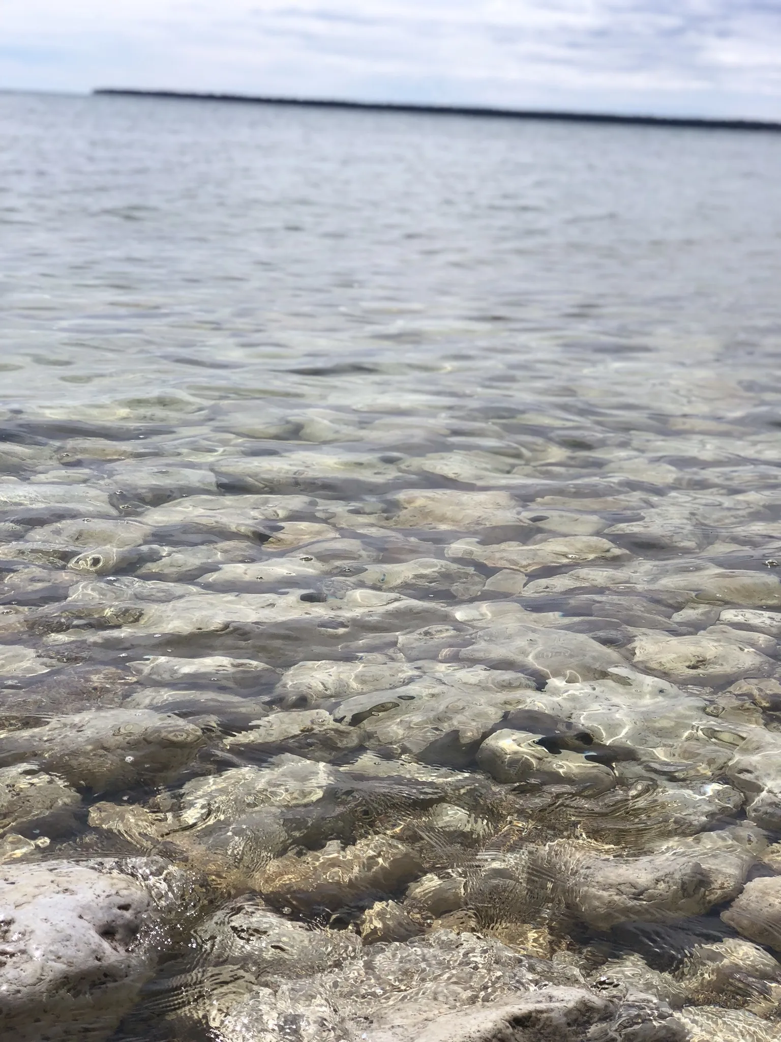 Olivia OnlyFans header