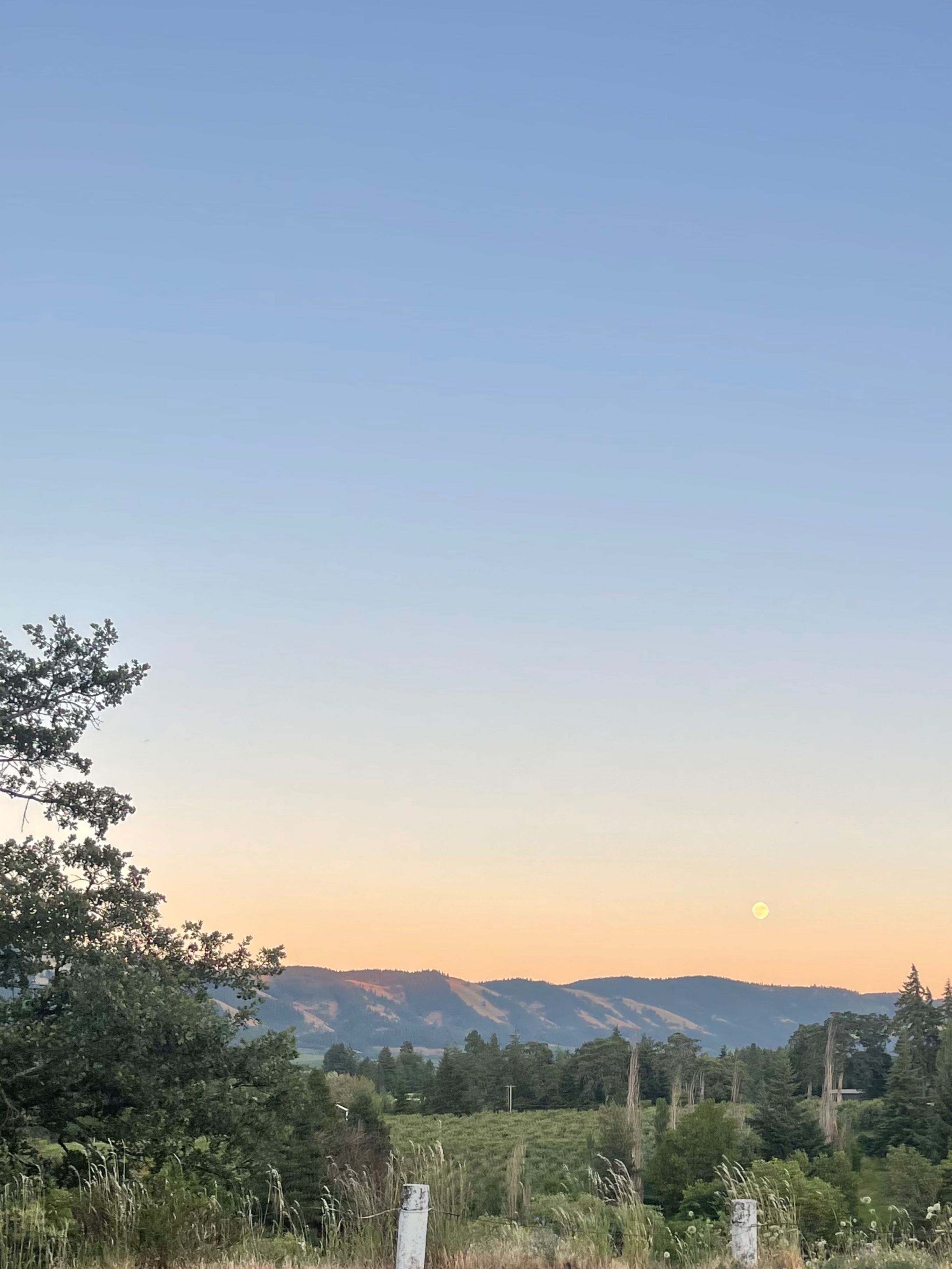 big tit Olivia OnlyFans header