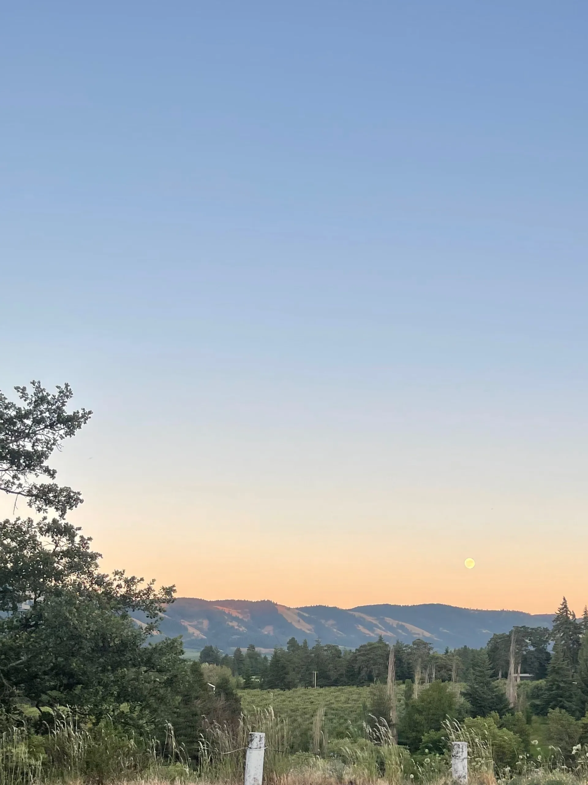 big tit Olivia OnlyFans header