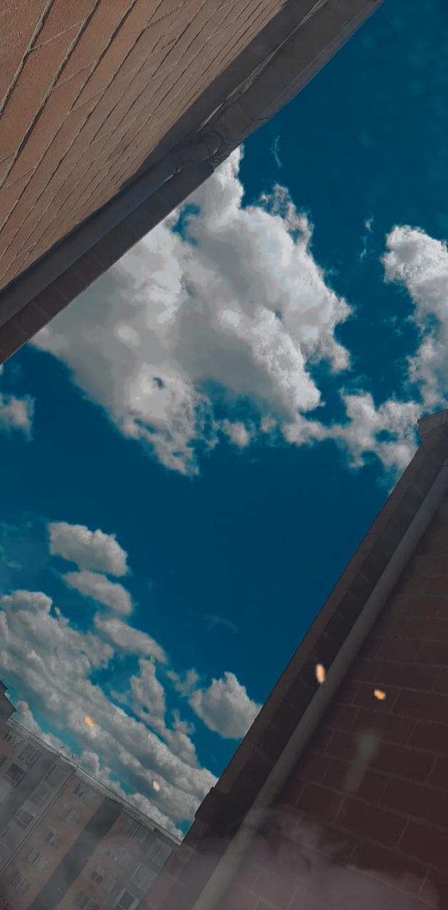 olivia_X OnlyFans header