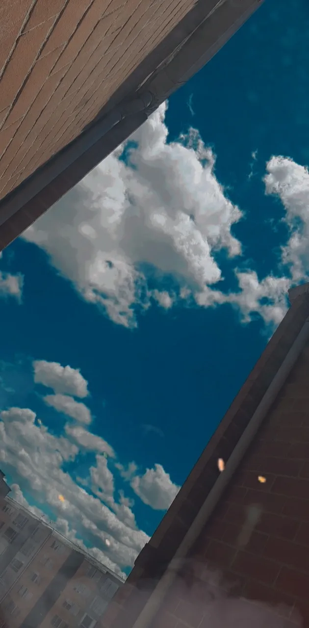 olivia_X OnlyFans header