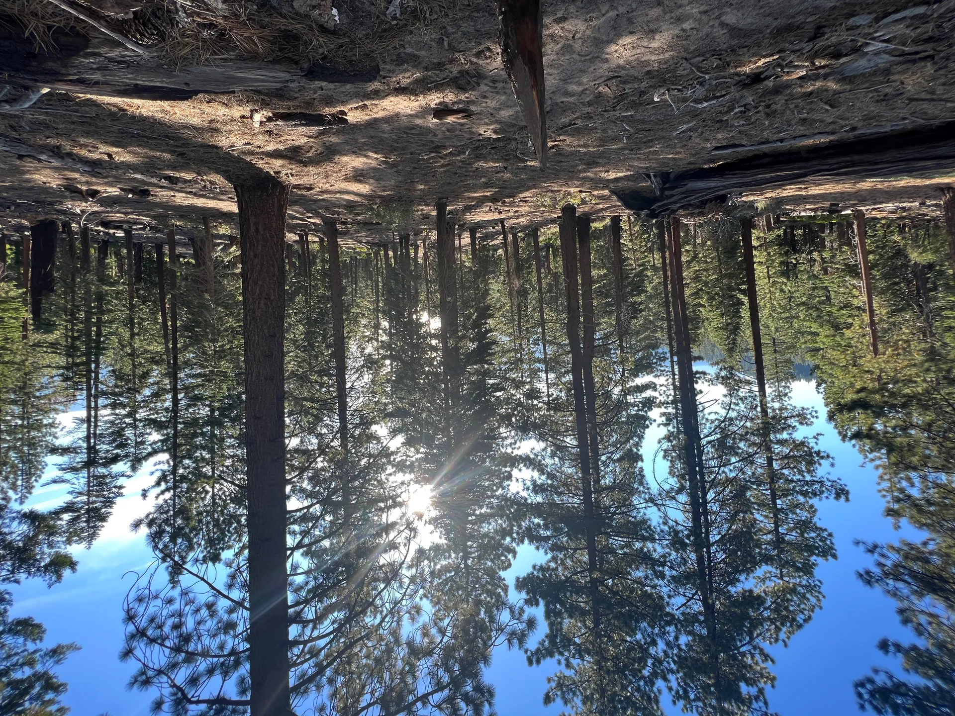 Olivia OnlyFans header