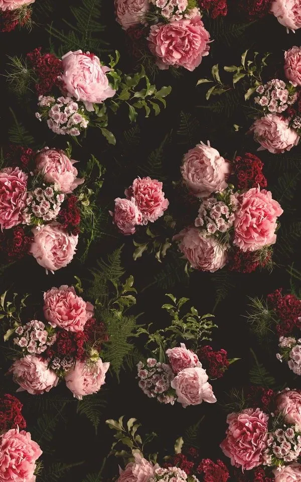 Olivia Daye OnlyFans header