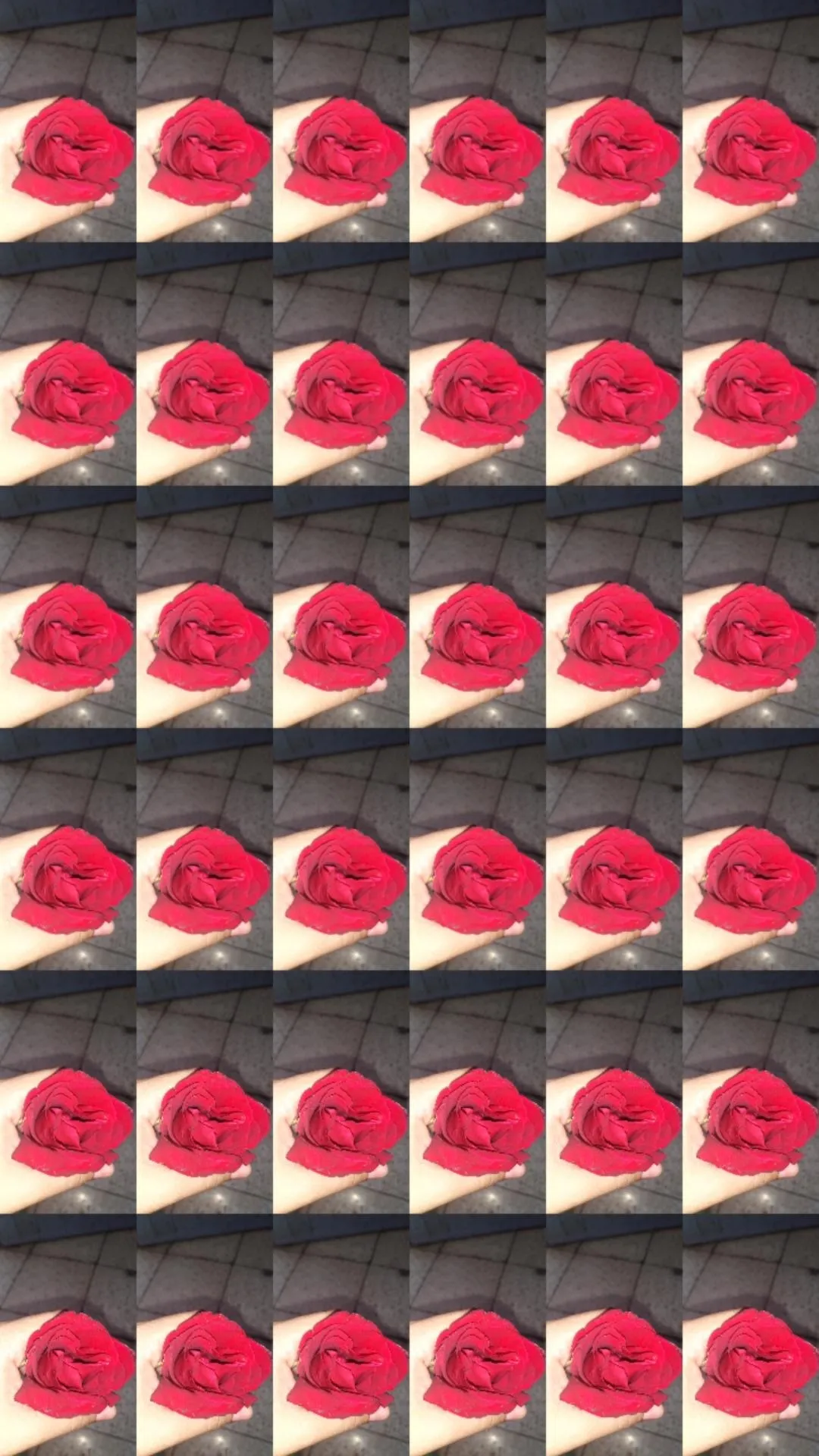 Lola OnlyFans header