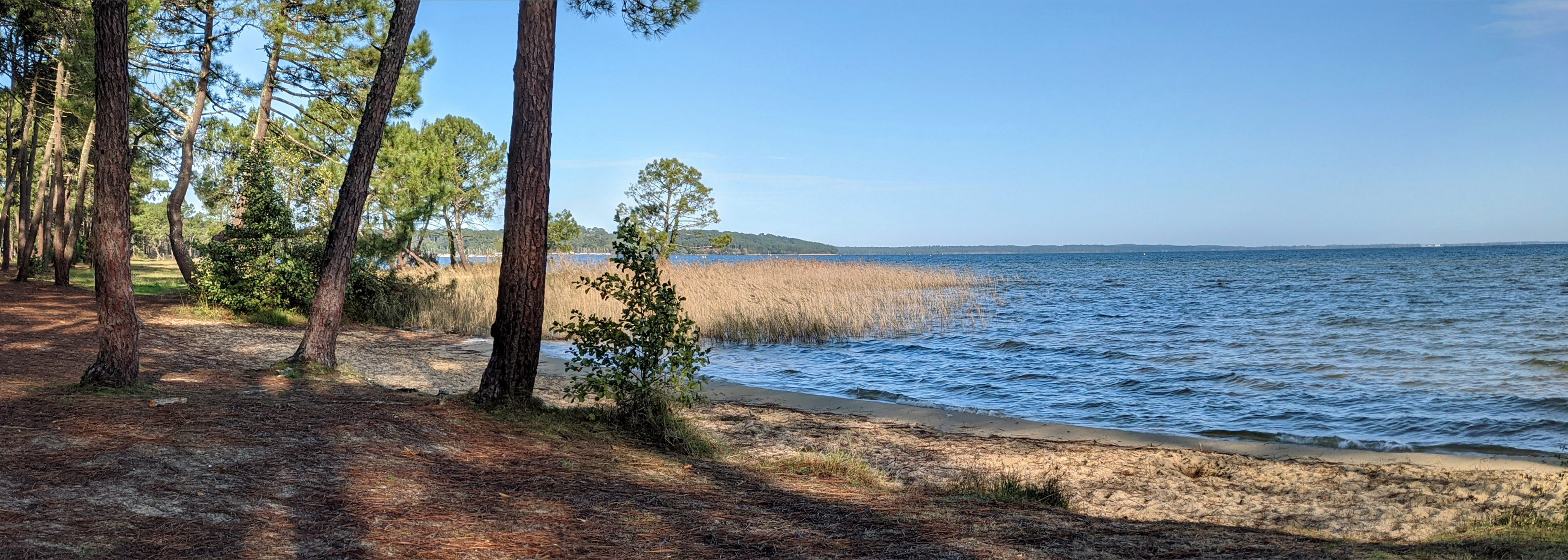 Olivia OnlyFans header