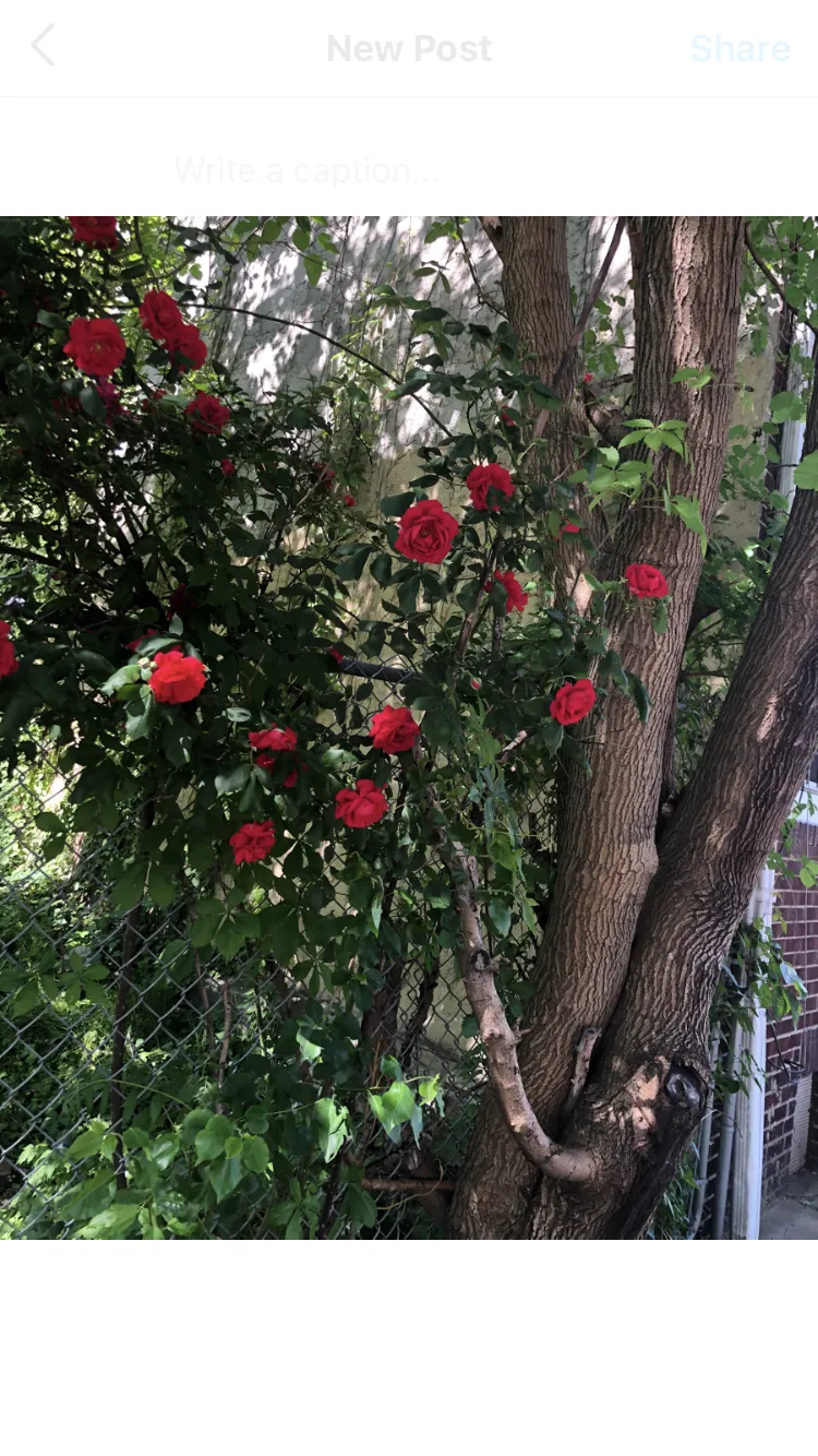 oliviaxglitterx OnlyFans header