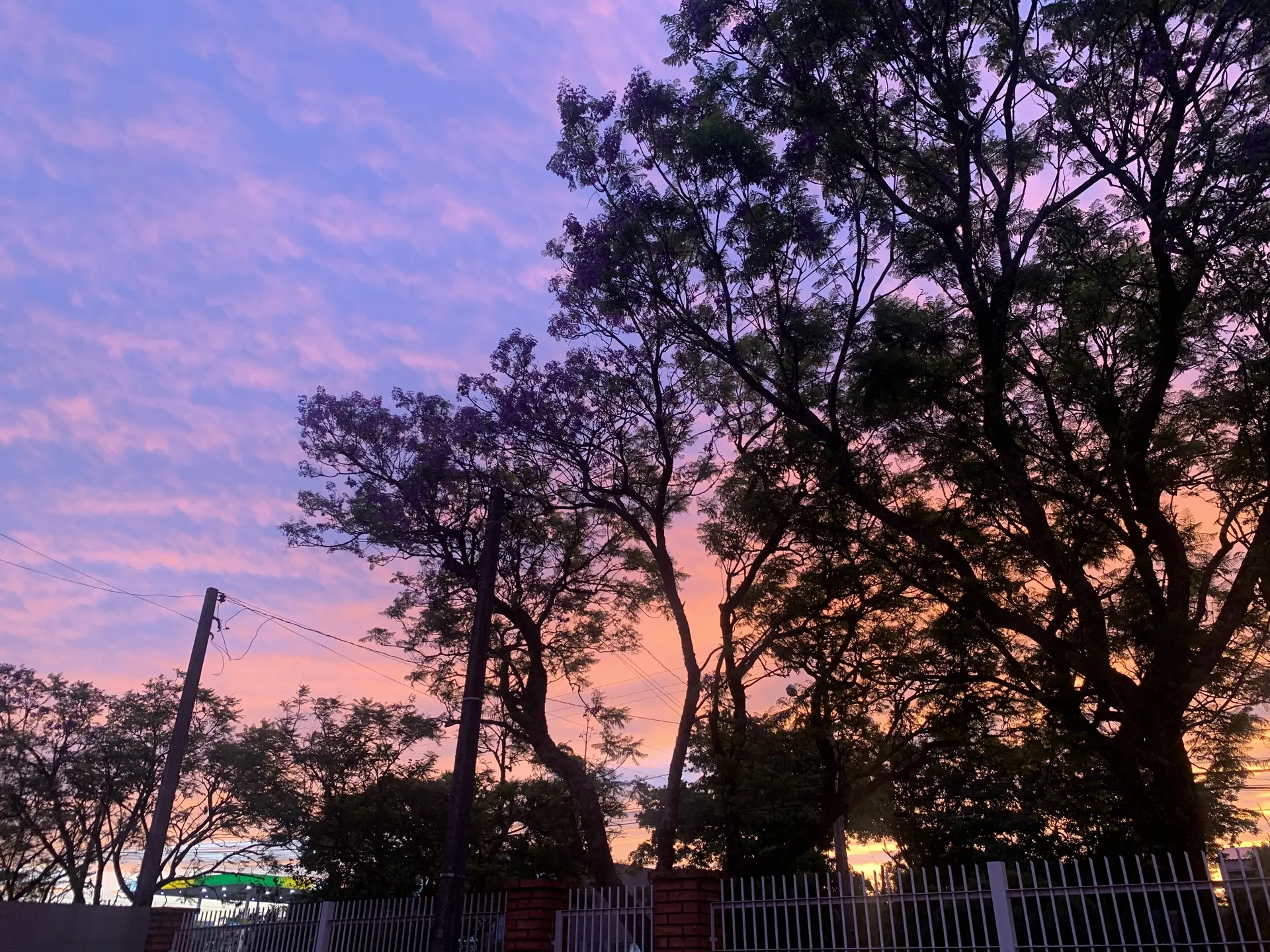 Olívia OnlyFans header