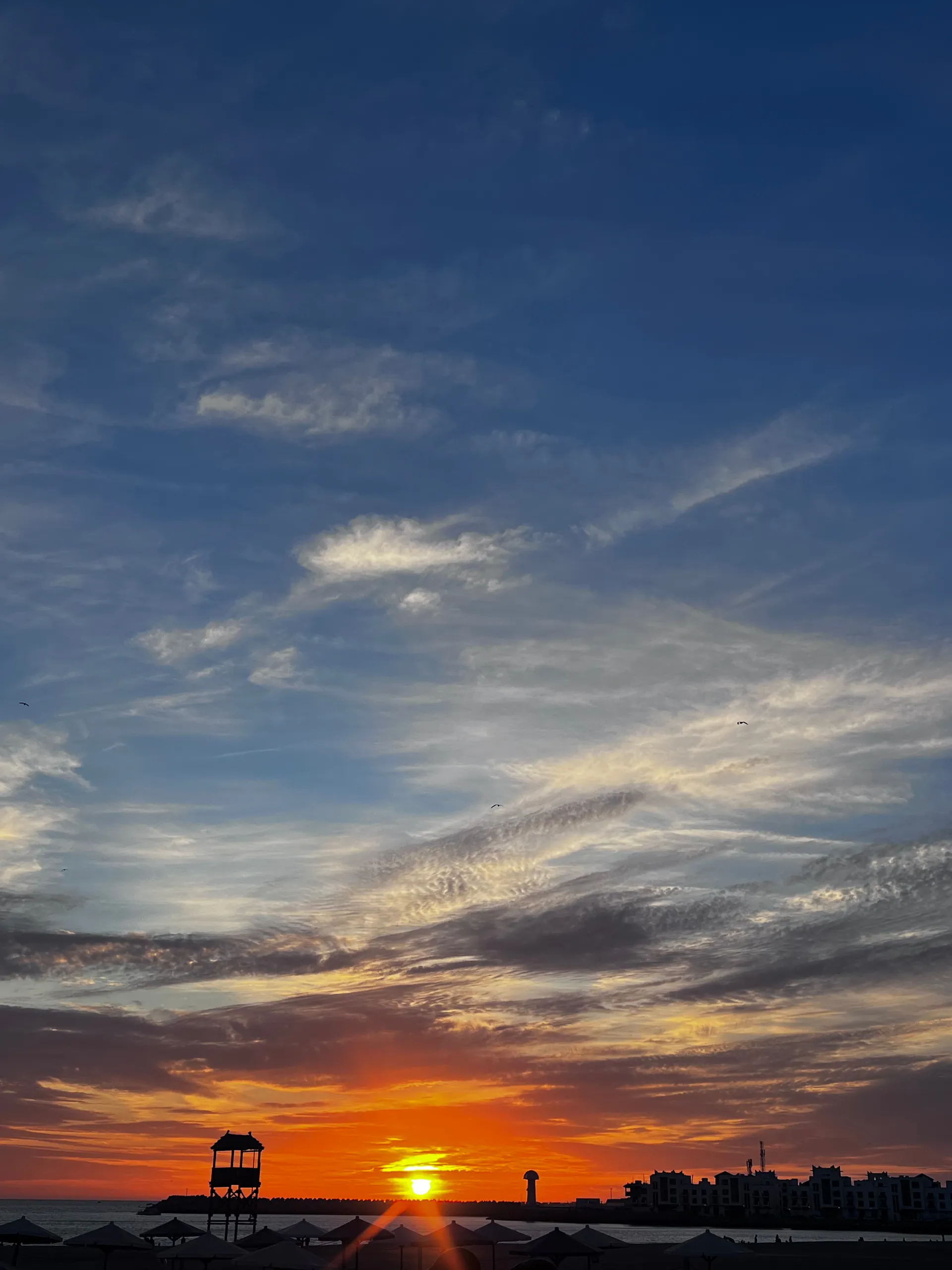 olivia wilde 🤍 OnlyFans header