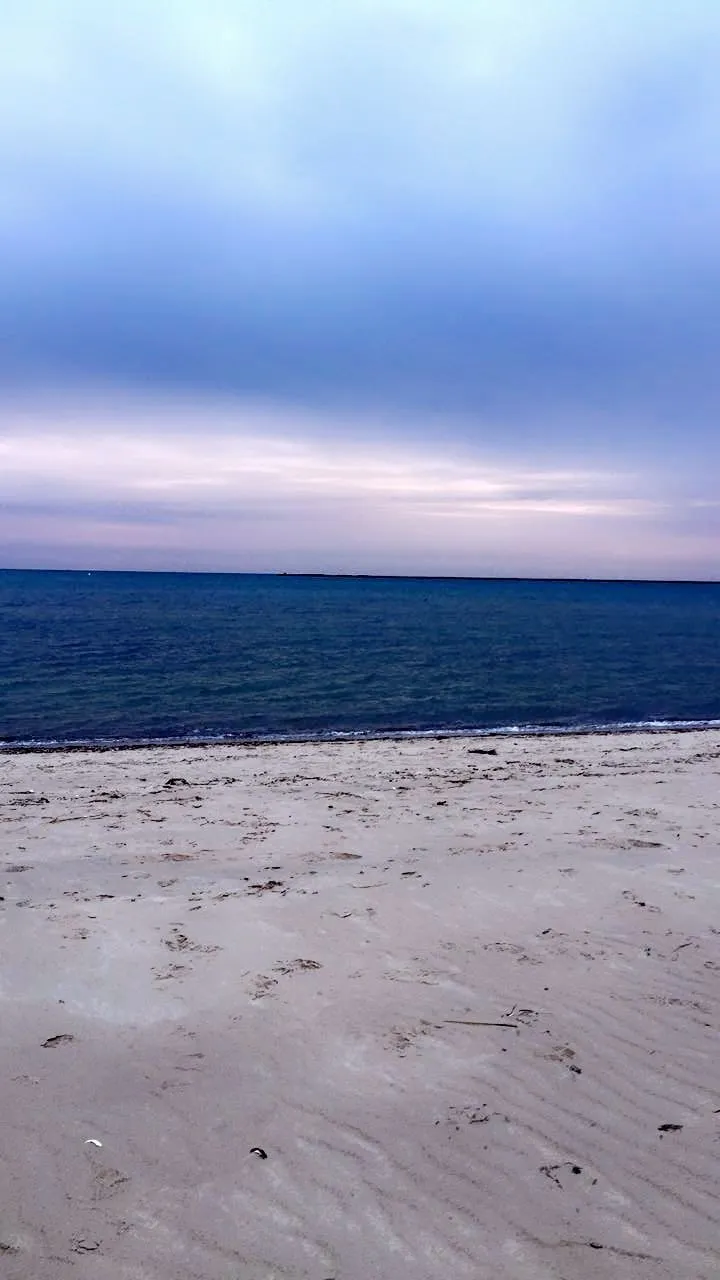 Ollie OnlyFans header