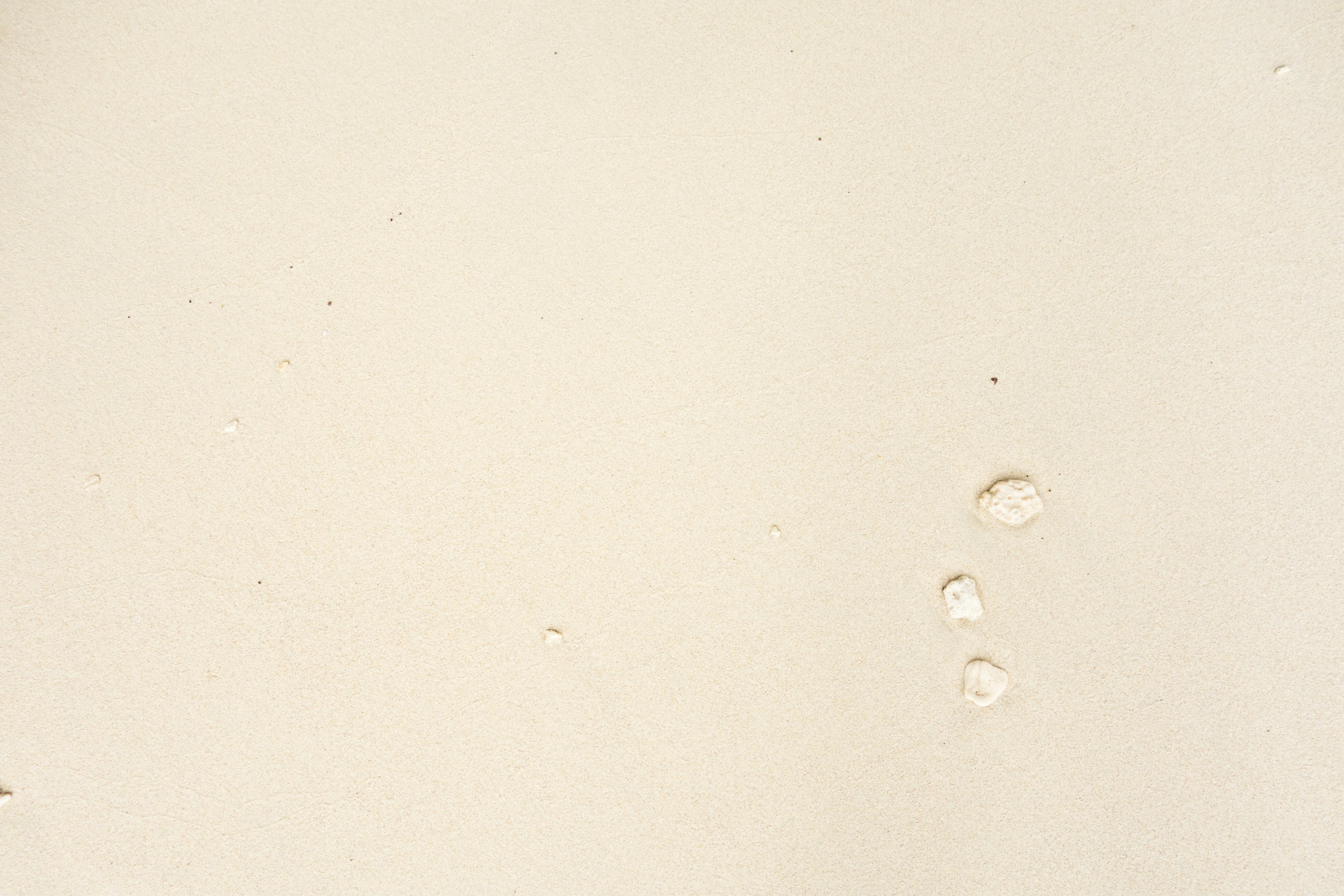 Ollie Perlman OnlyFans header