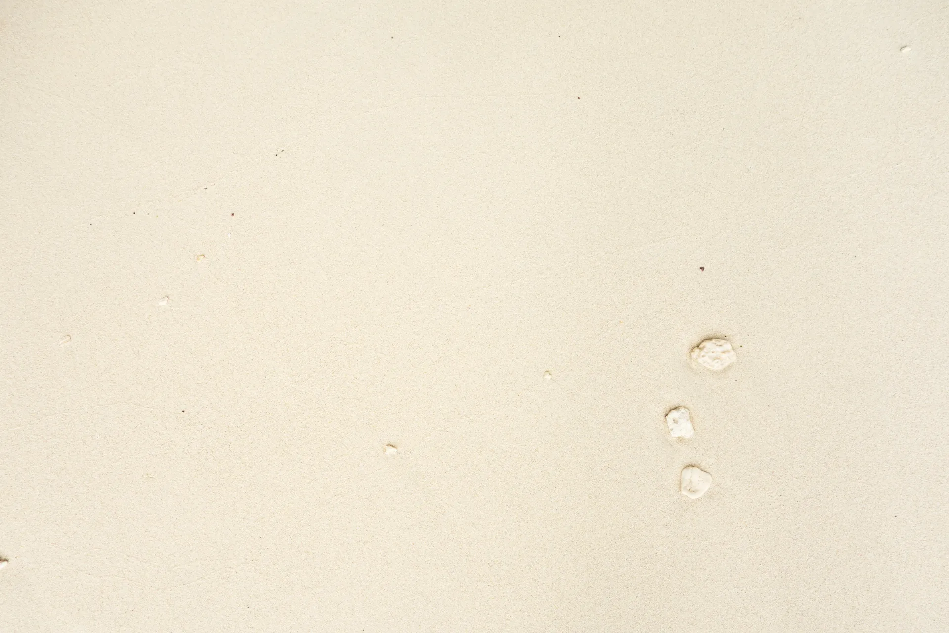 Ollie Perlman OnlyFans header