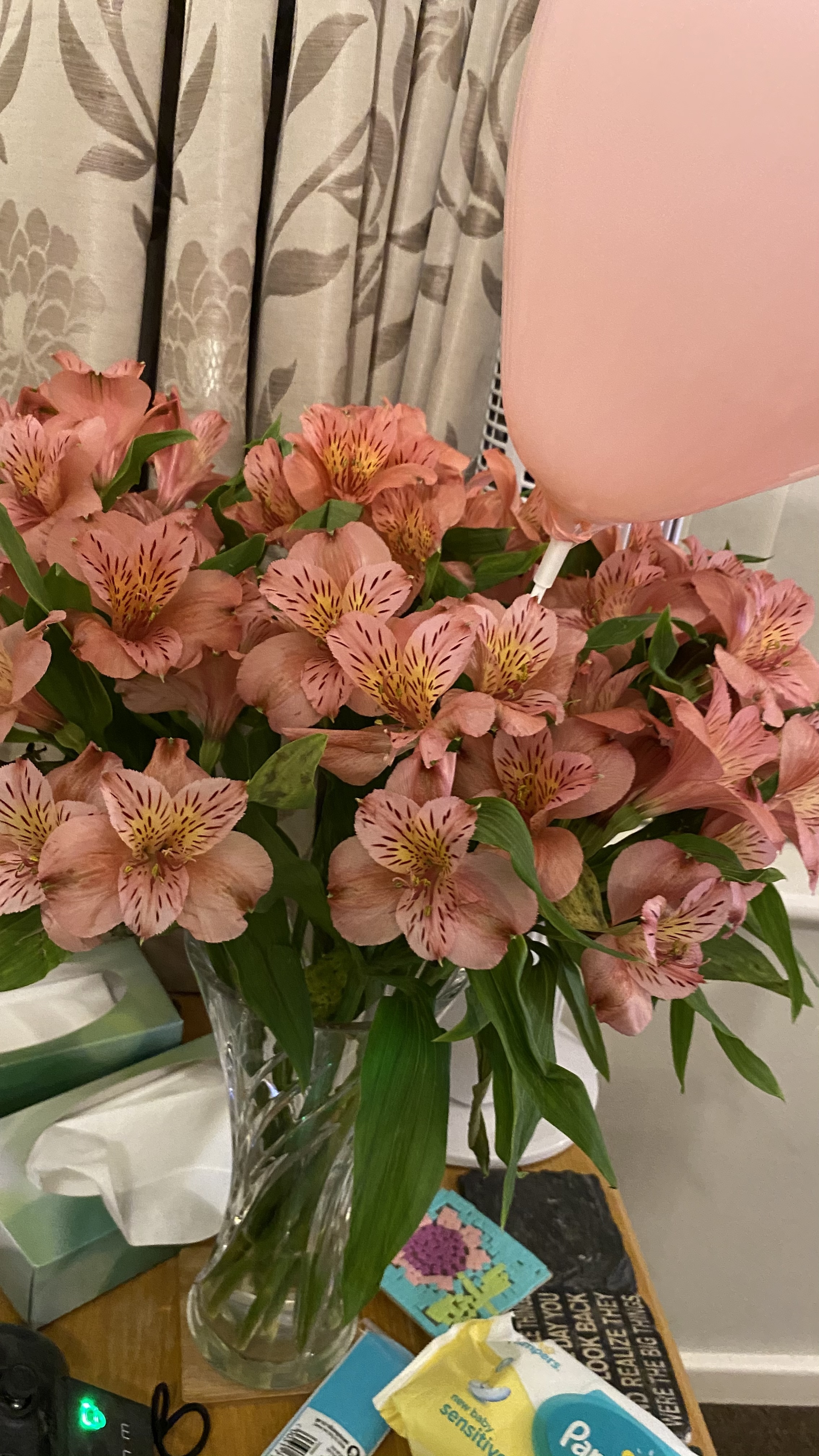 Ollie OnlyFans header