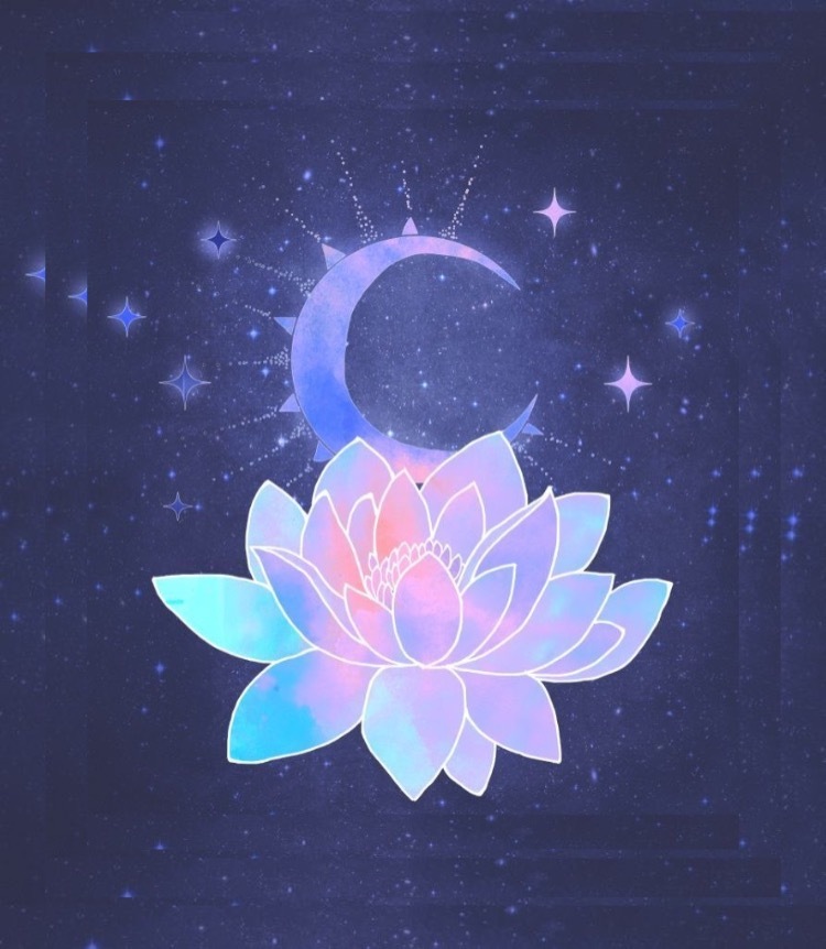 Ollie OnlyFans header