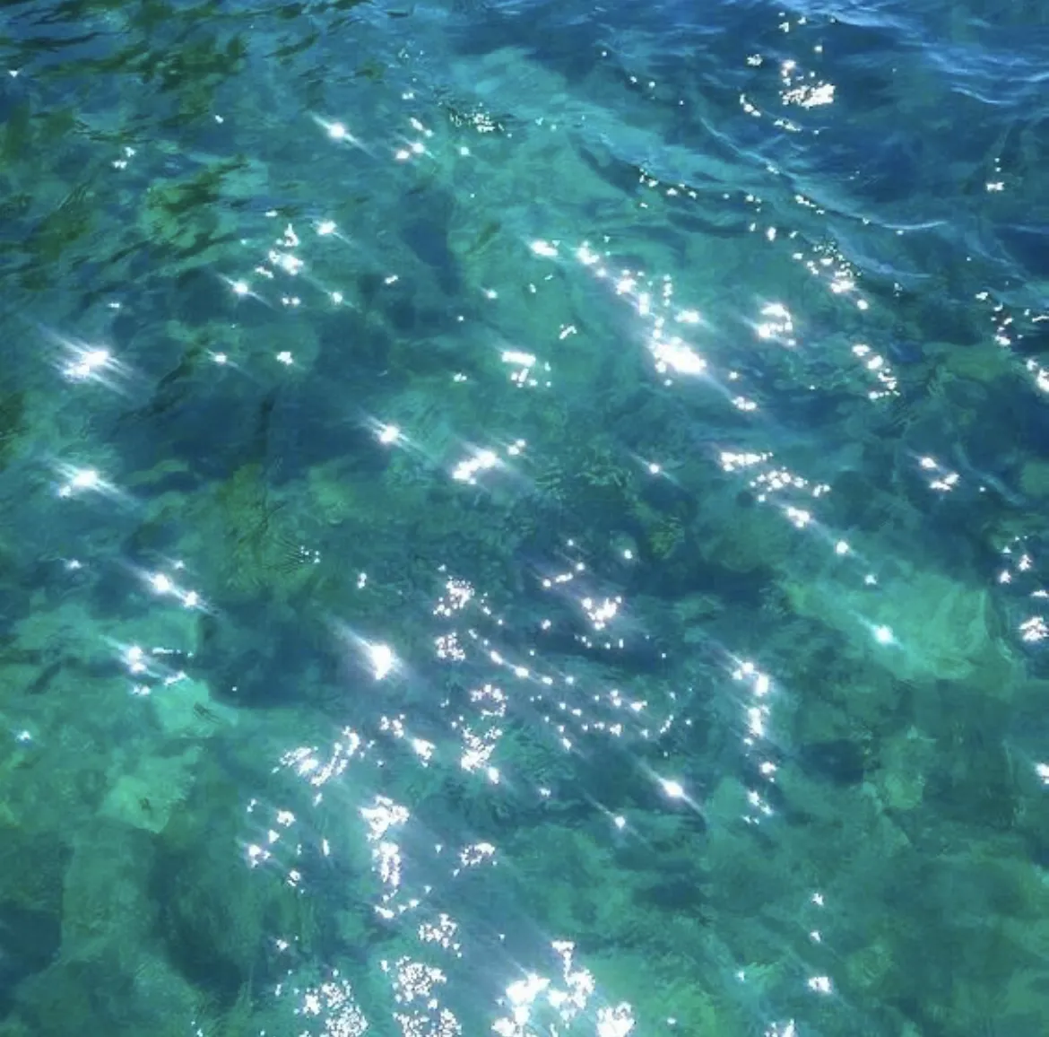 ollie OnlyFans header