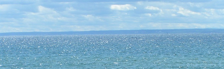 Olli VelMax OnlyFans header