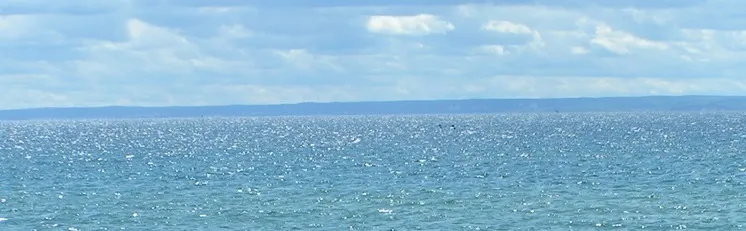 Olli VelMax OnlyFans header