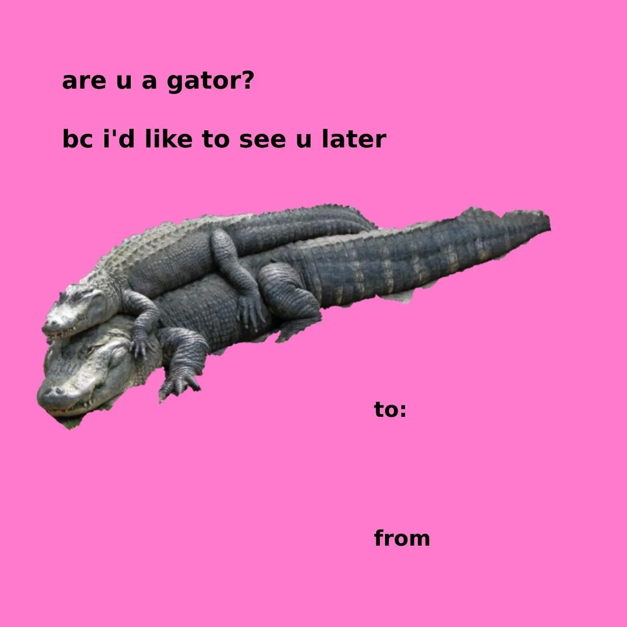 Olly Lithium OnlyFans header