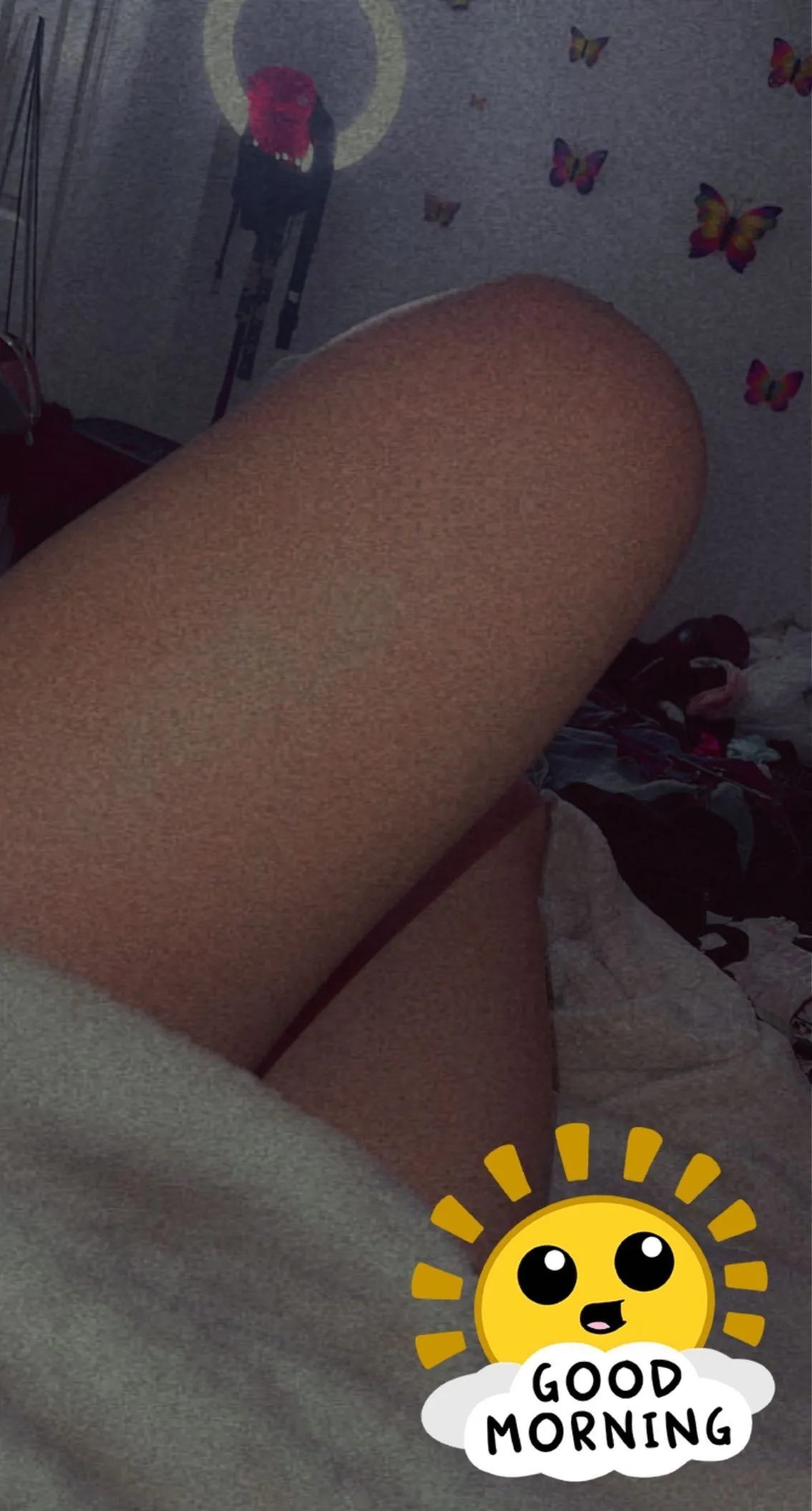 Olsenn🐚 cover