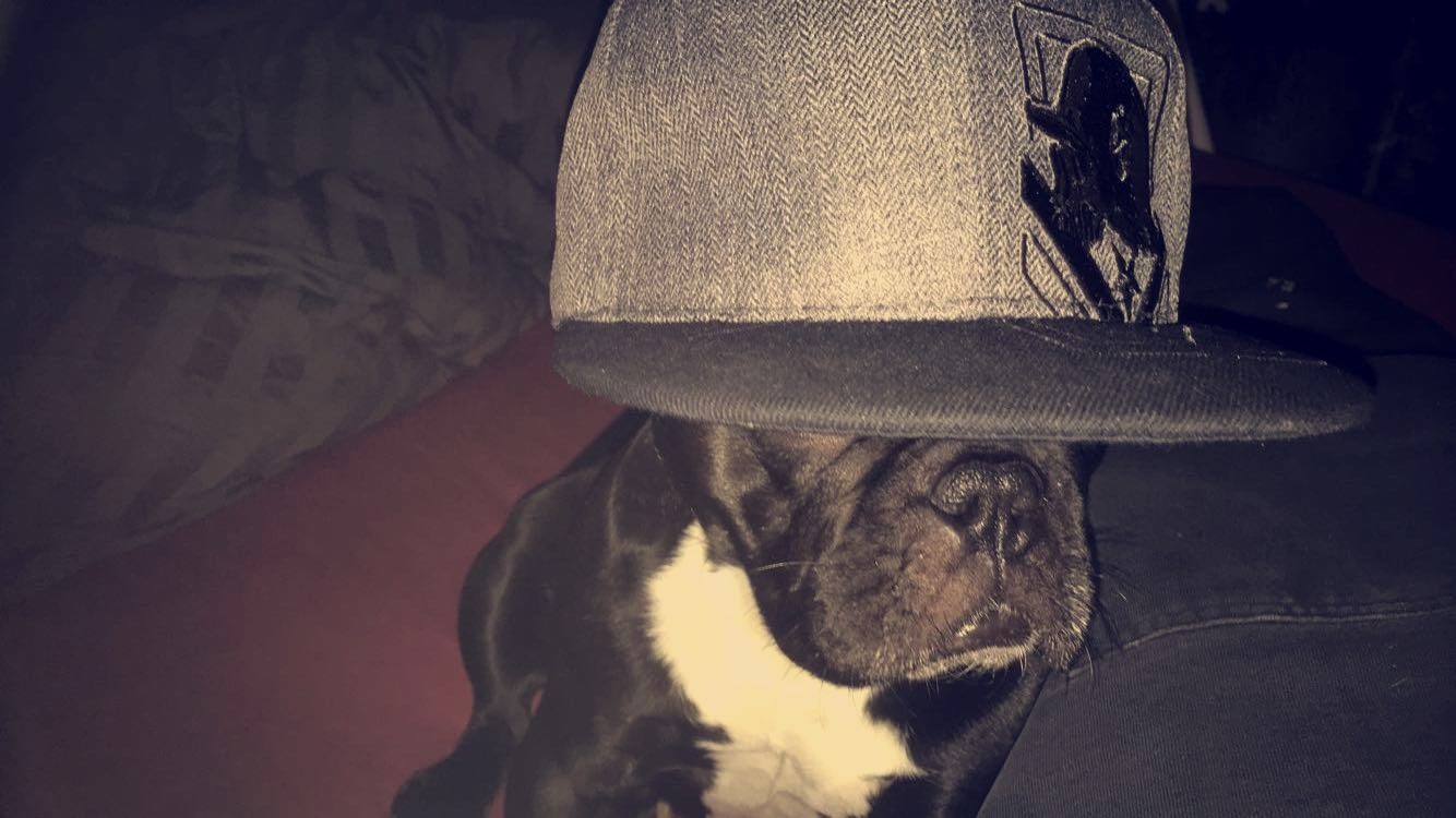 Olsern OnlyFans header