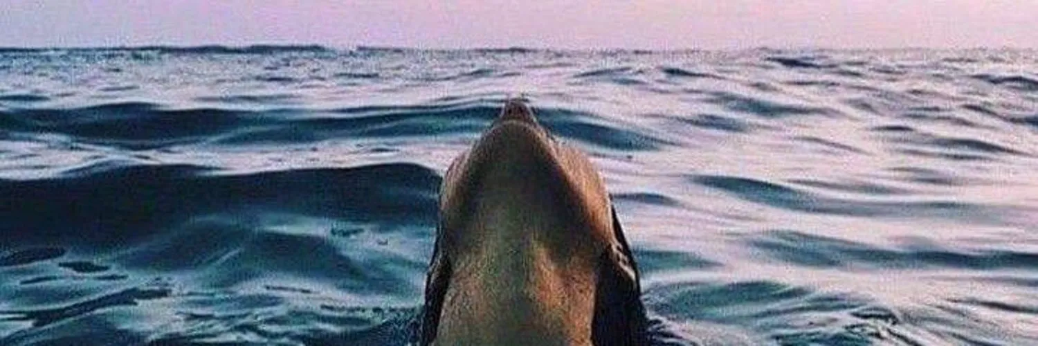 Oly Erotik OnlyFans header