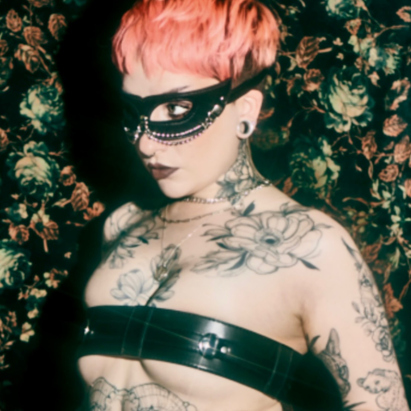 𝐎𝐋𝐘𝐌𝐏𝐄 𝐌𝐈𝐃𝐍𝐈𝐆𝐇𝐓 ☾ OnlyFans