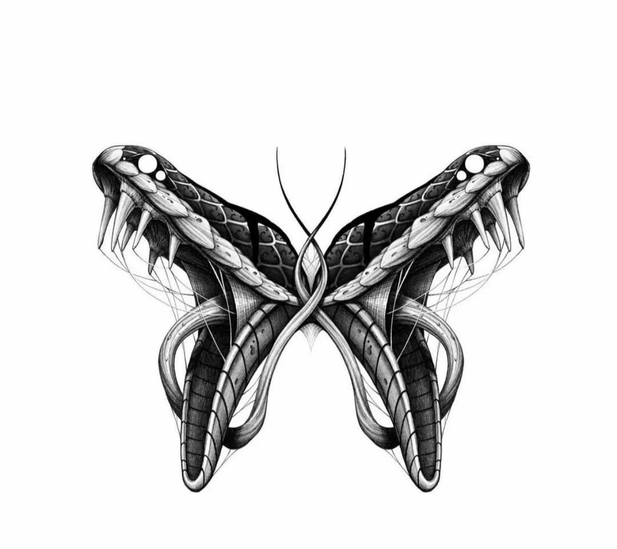 Olympia OnlyFans header