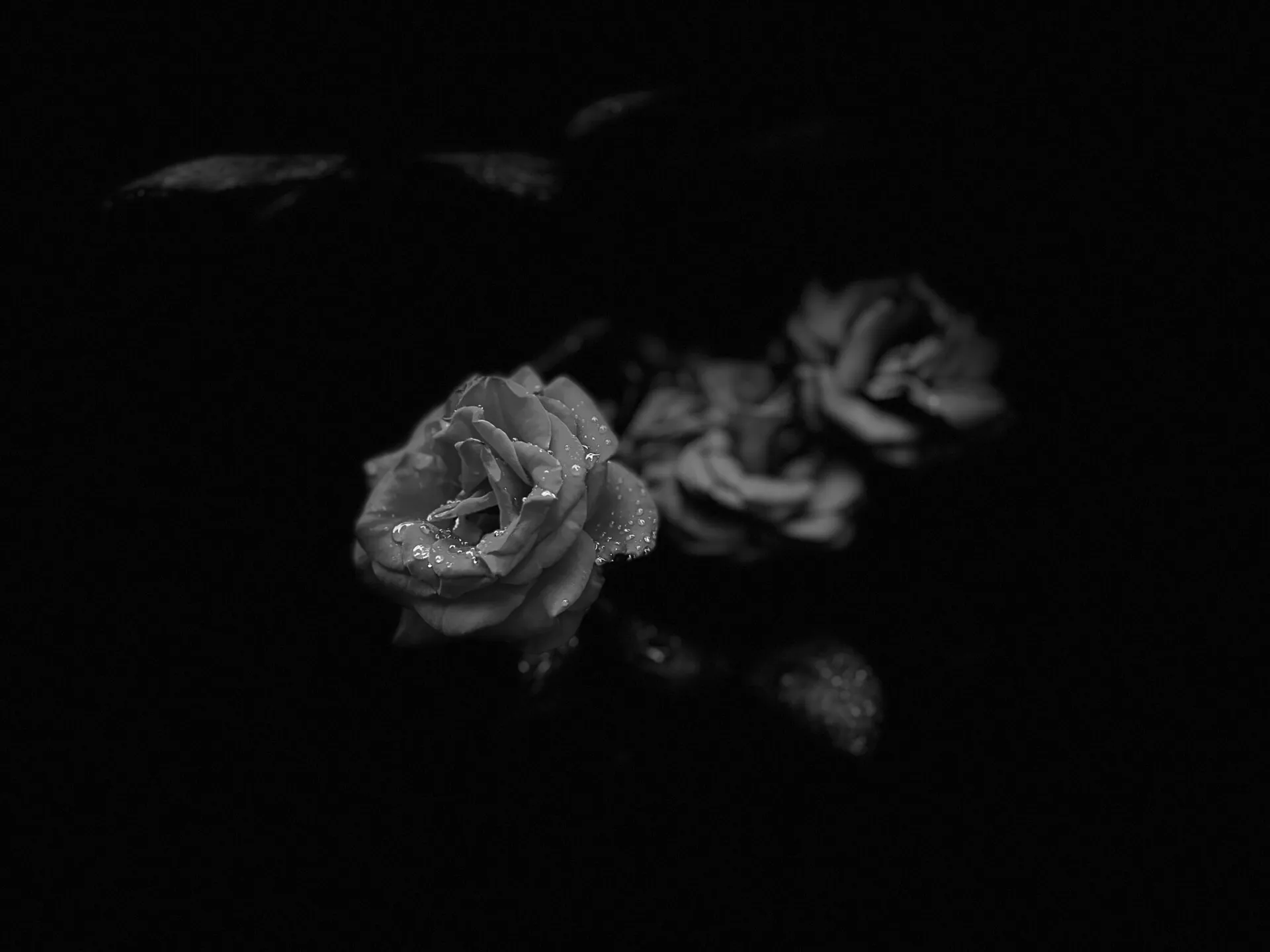 Omar Morales OnlyFans header