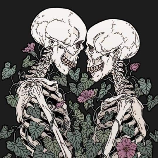 Ashley OnlyFans header