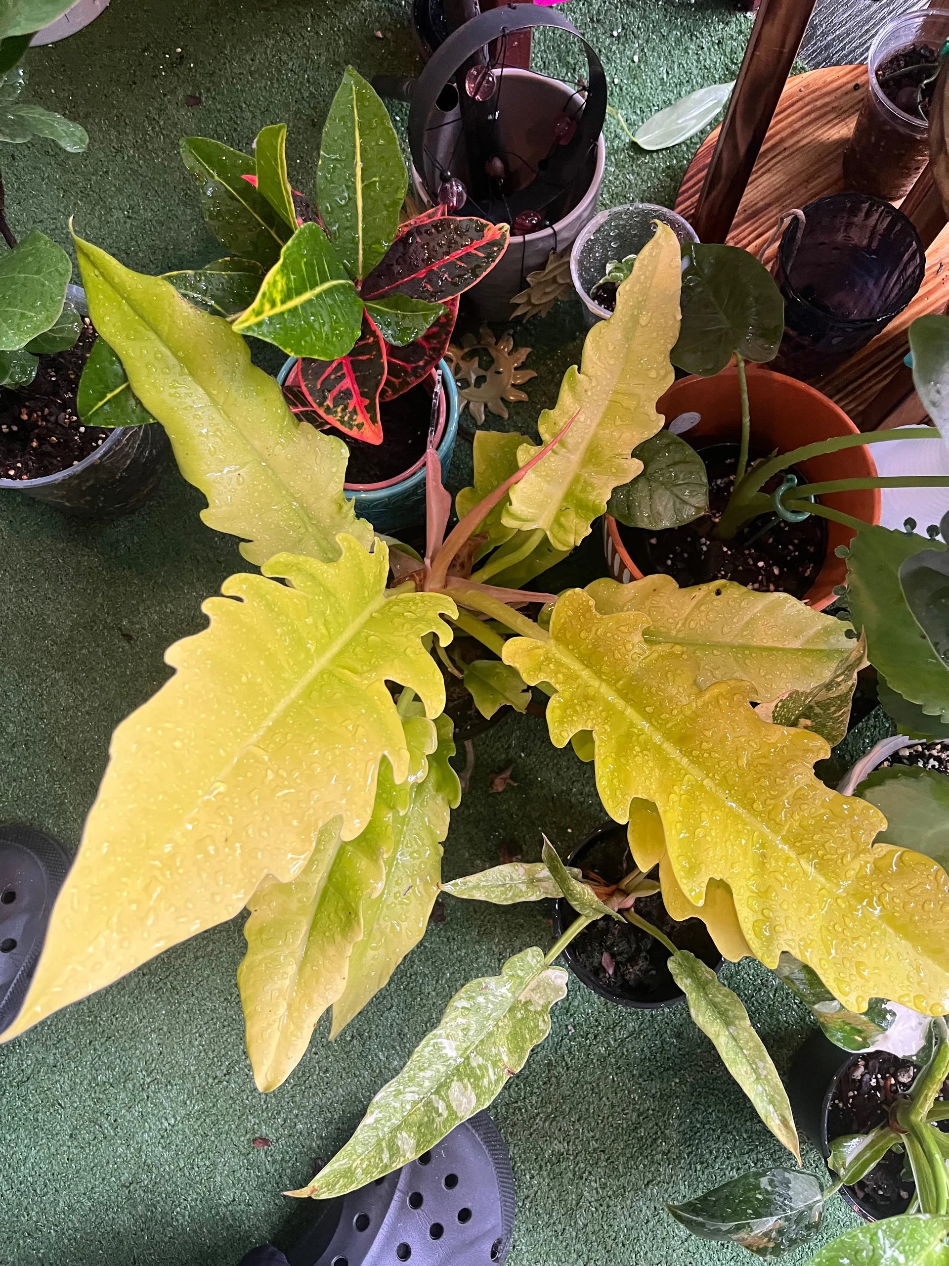 Call Me Princess✨ OnlyFans header