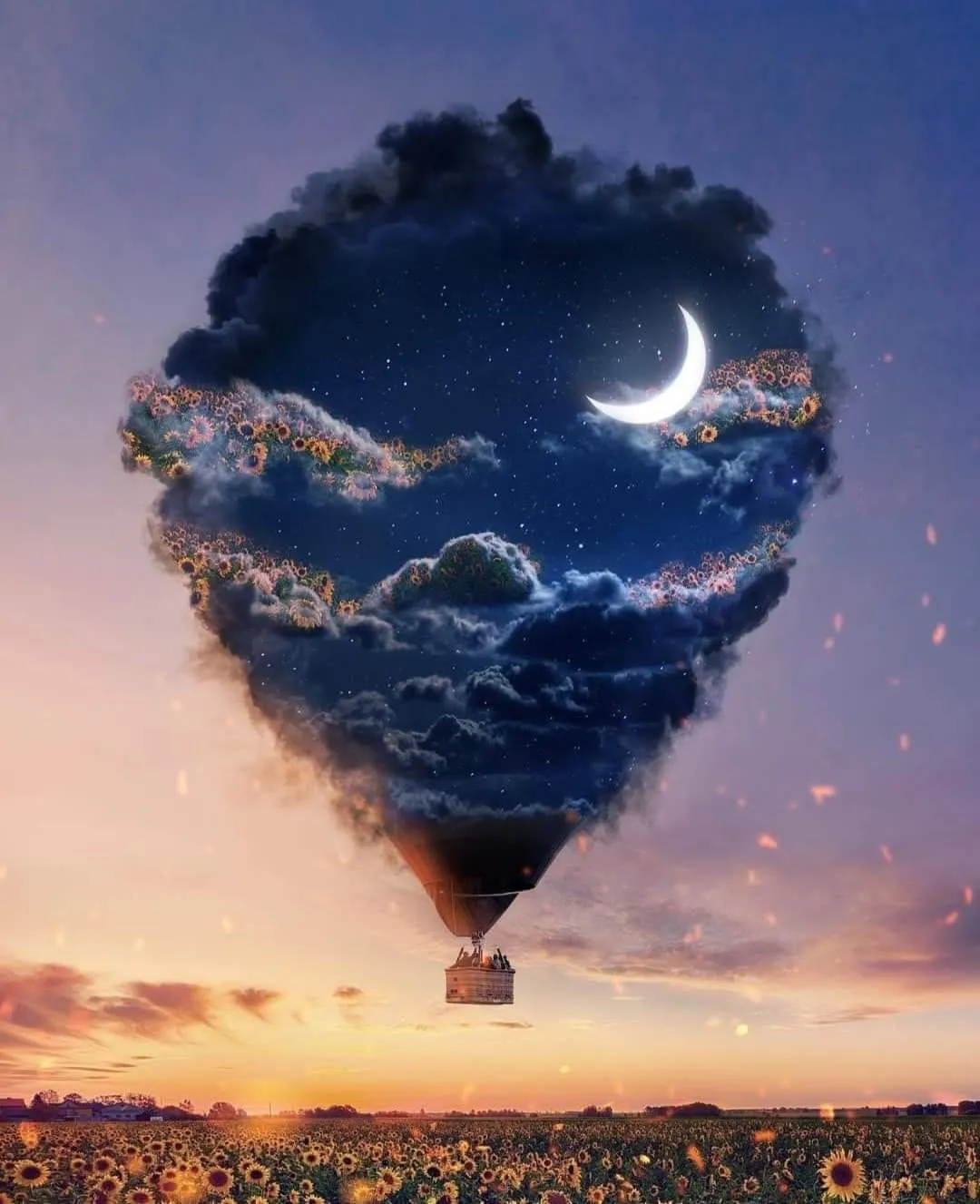 Bree OnlyFans header