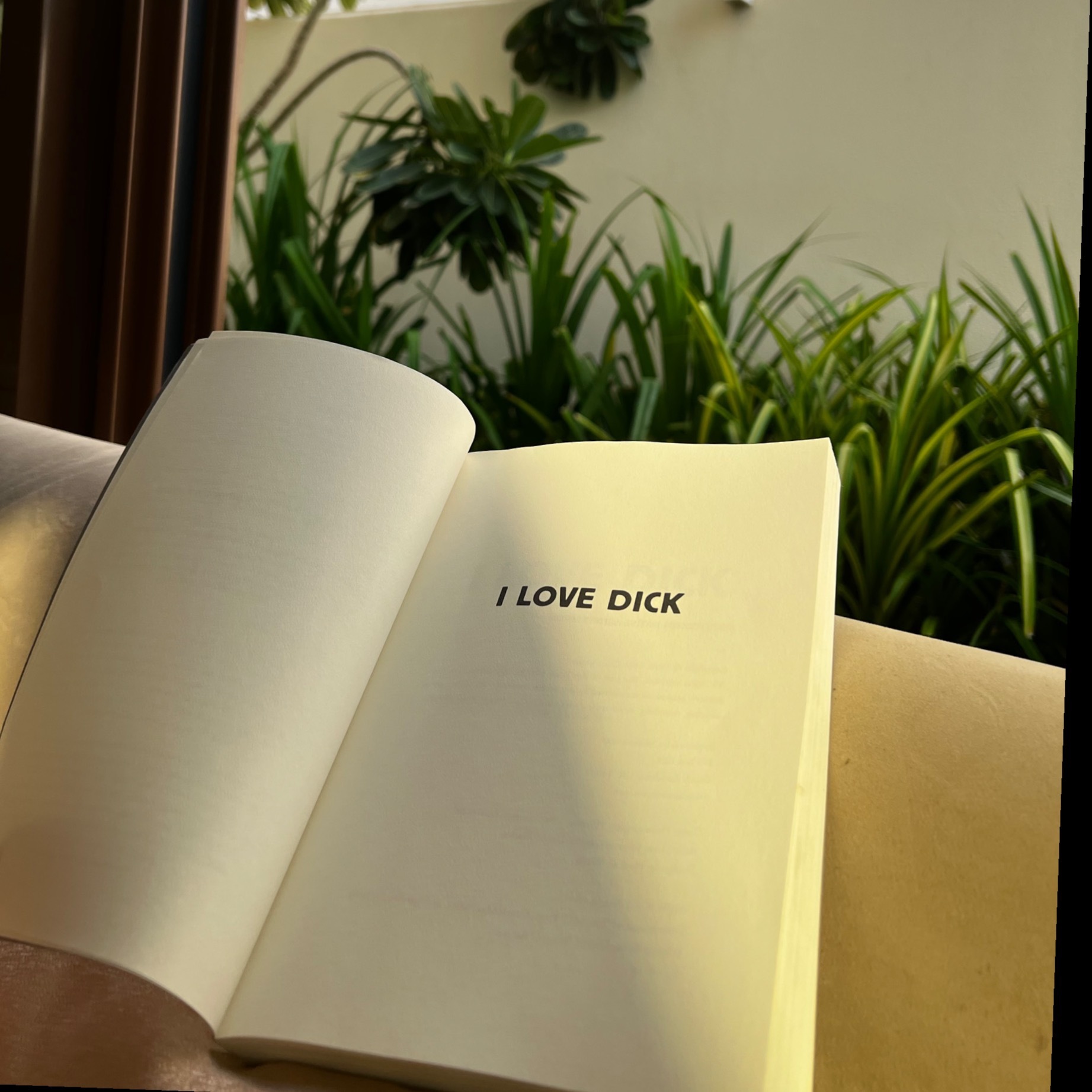 omg.gabi OnlyFans header