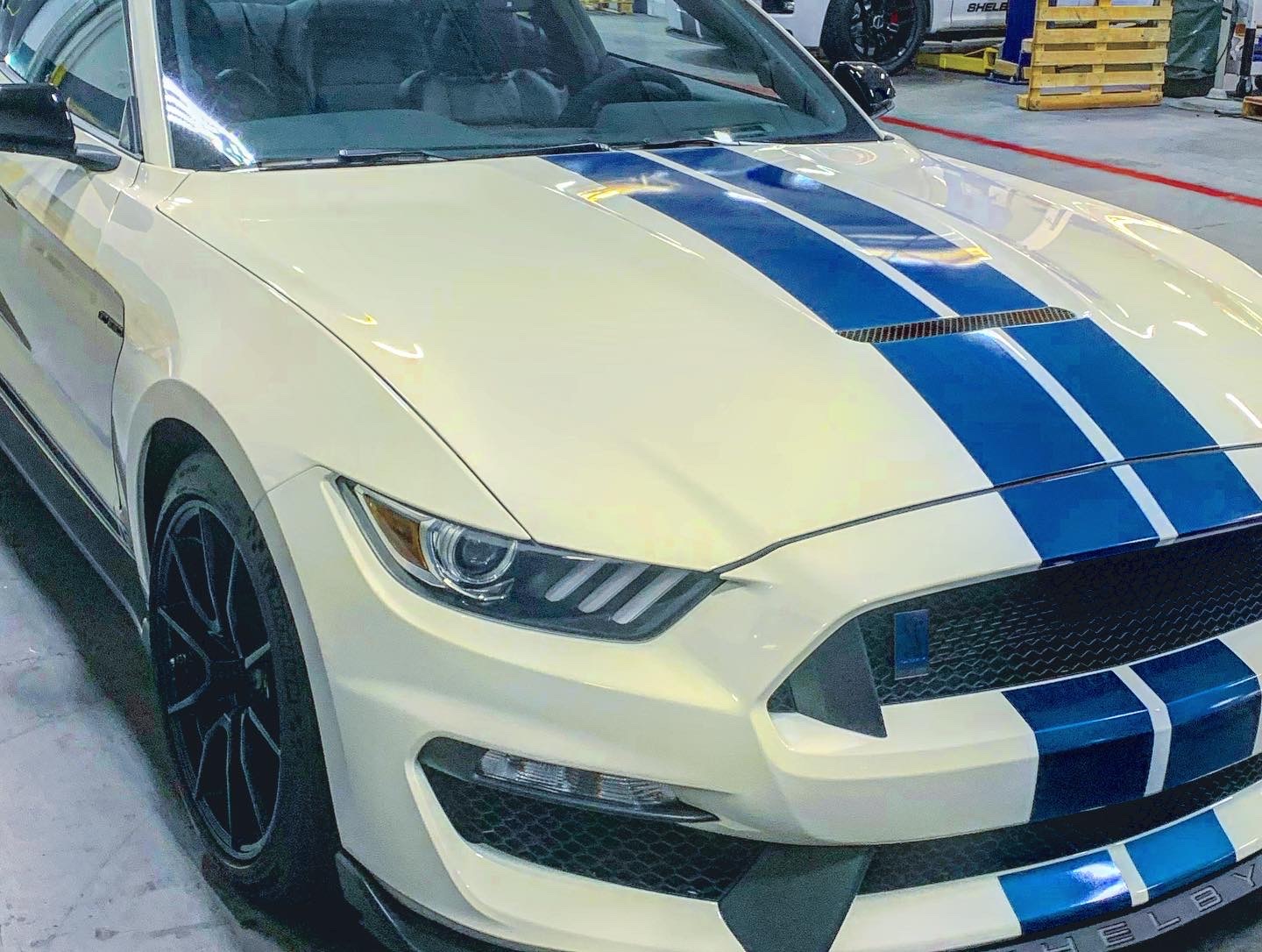 Lexie😘 OnlyFans header