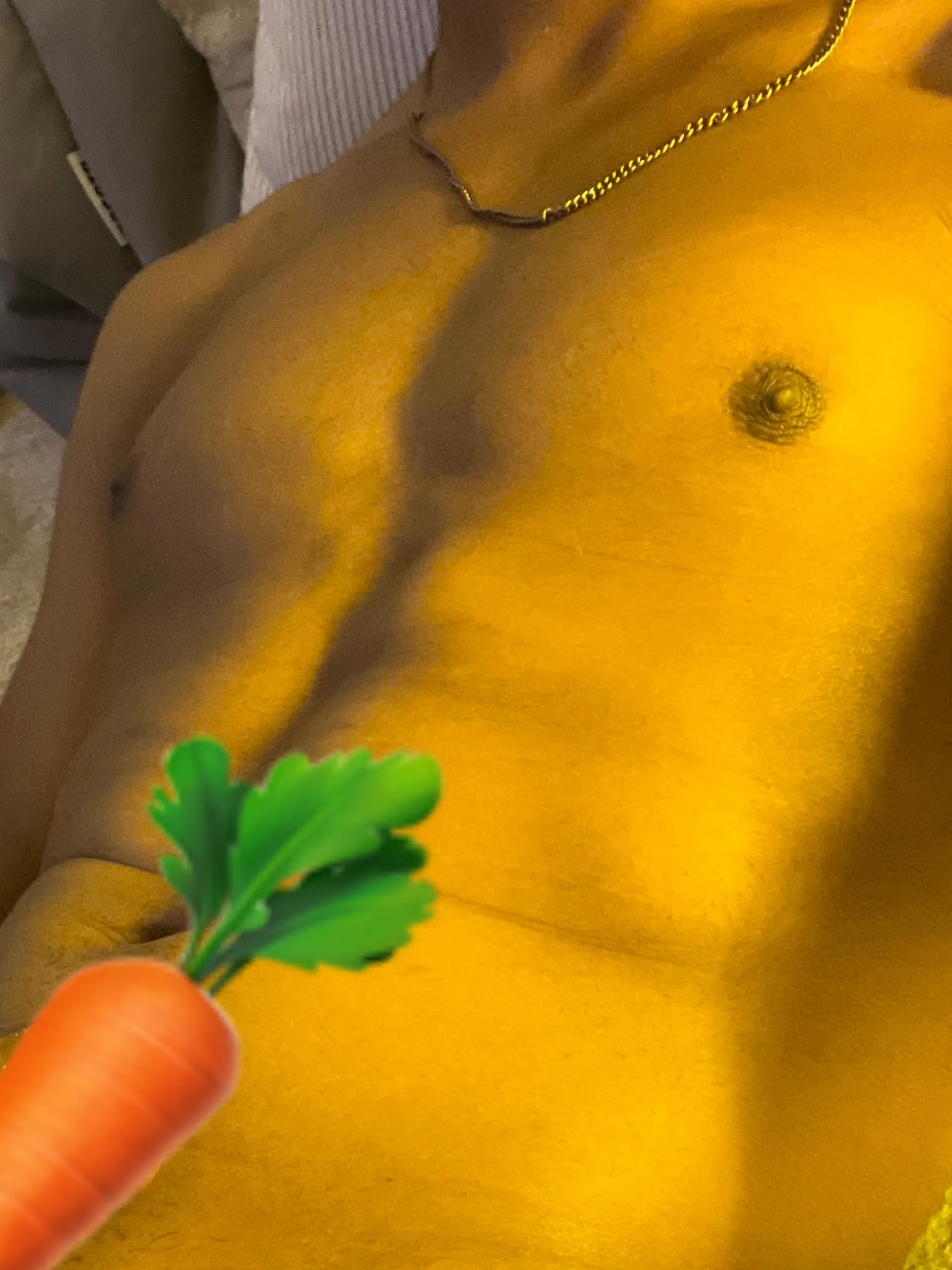 OMNILON OnlyFans header