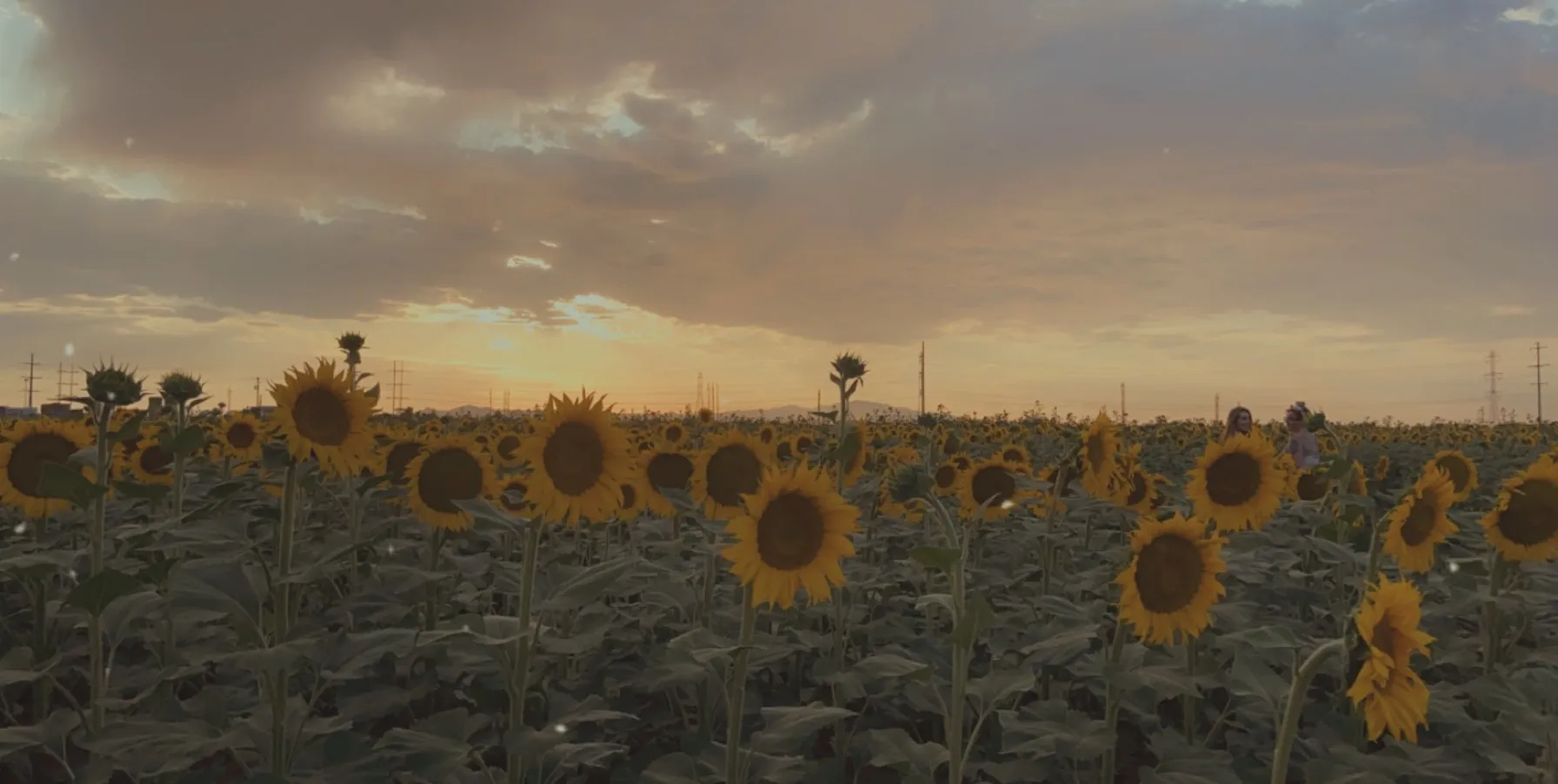 Omnipotentjade OnlyFans header