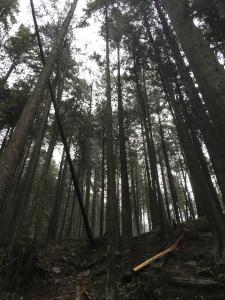 Jake OnlyFans header