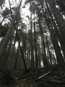 Jake OnlyFans header