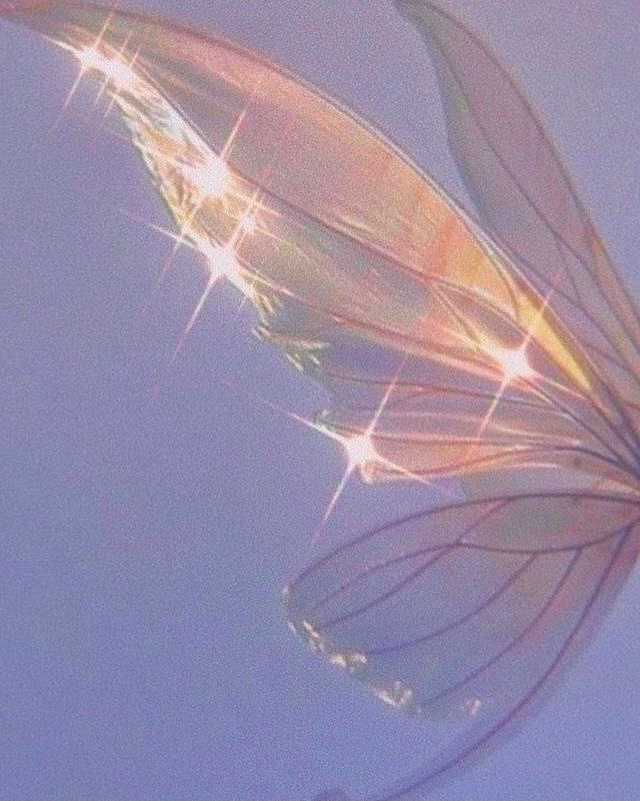 Omsani OnlyFans header