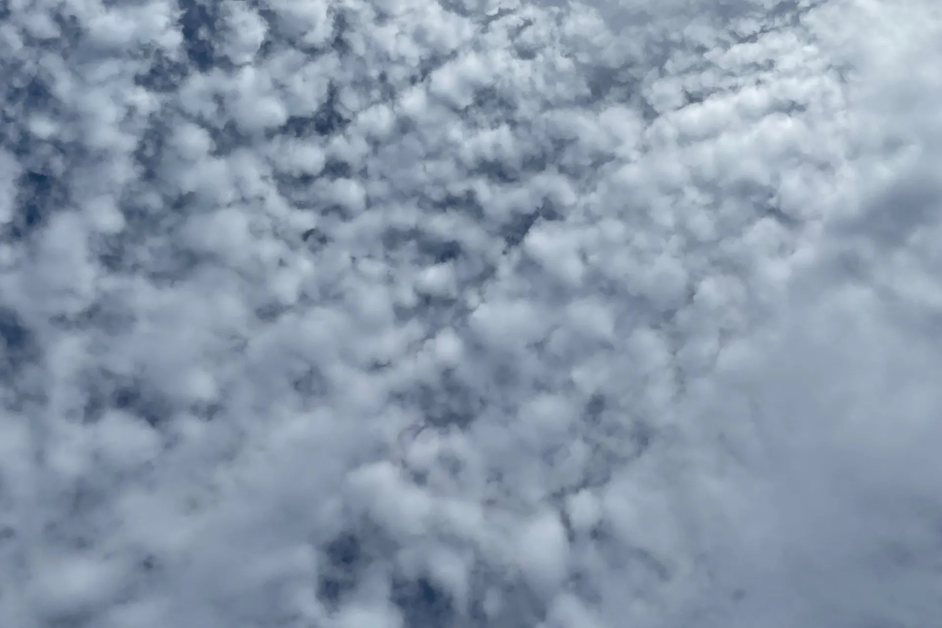 ✨SD✨ OnlyFans header