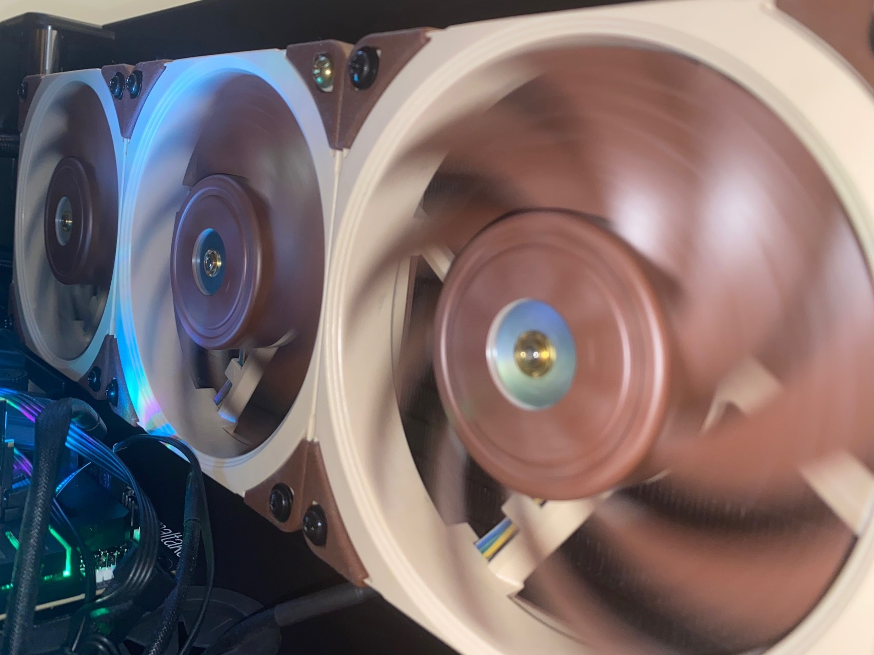 Only Fans OnlyFans header