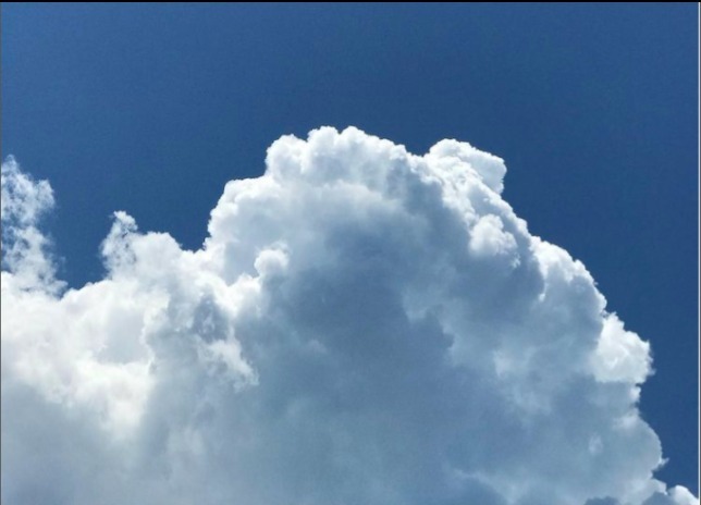 aline OnlyFans header