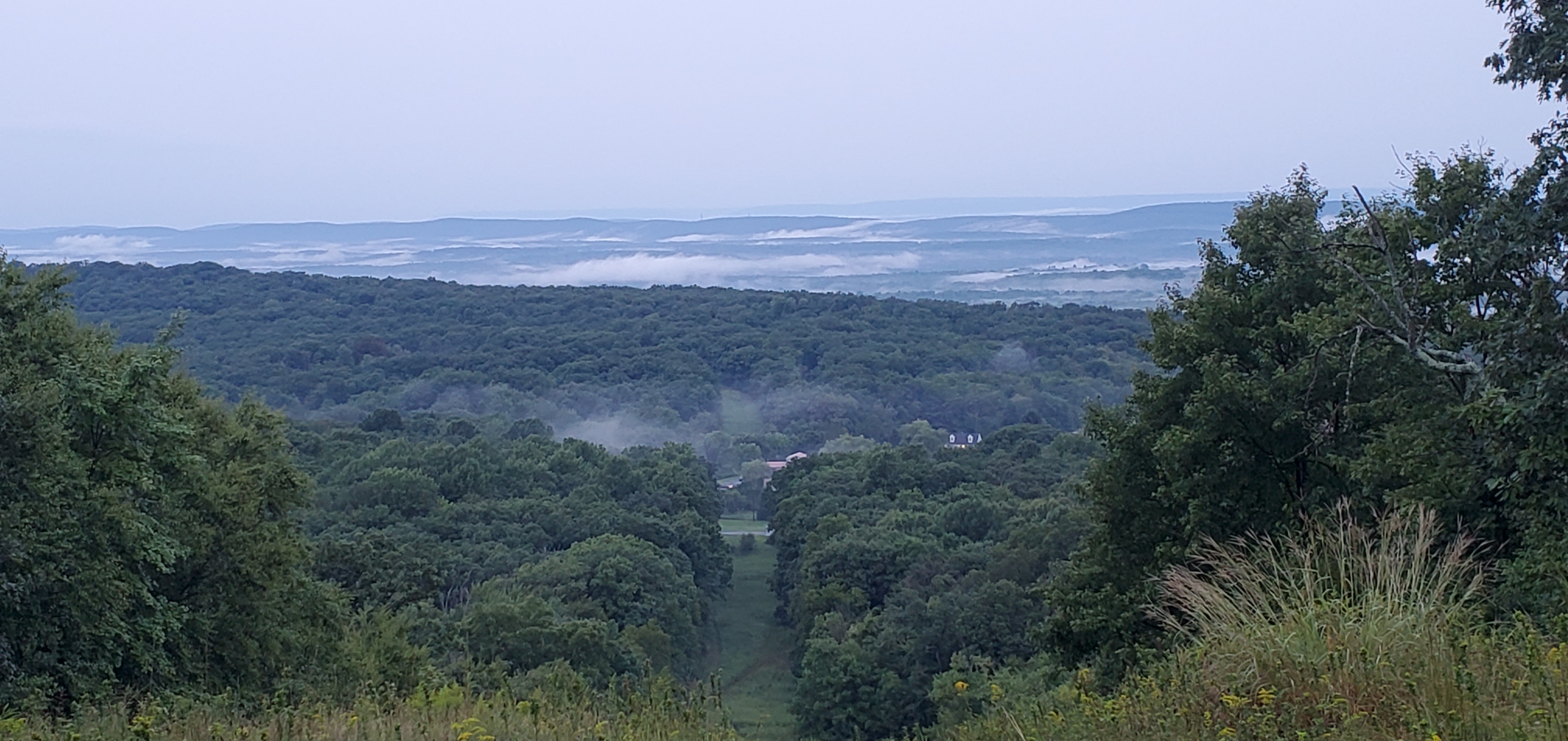 1EyeWally OnlyFans header