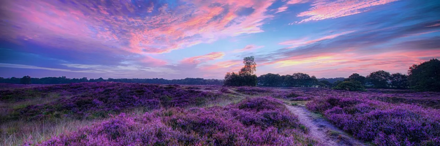 ℓσνєℓу🥀 OnlyFans header